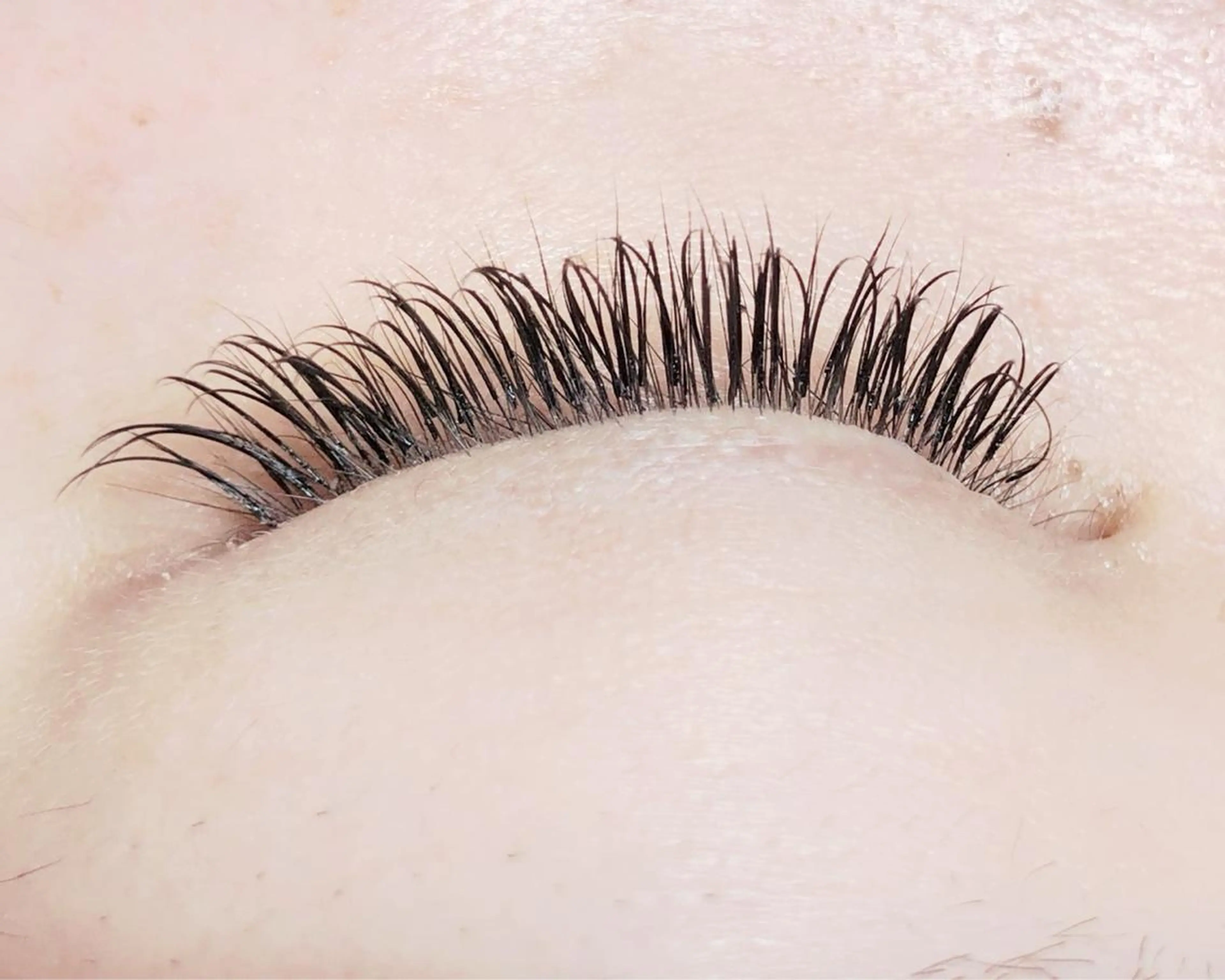 シングルラッシュ80​〜​100本✨オフ、コーティング込みの写真