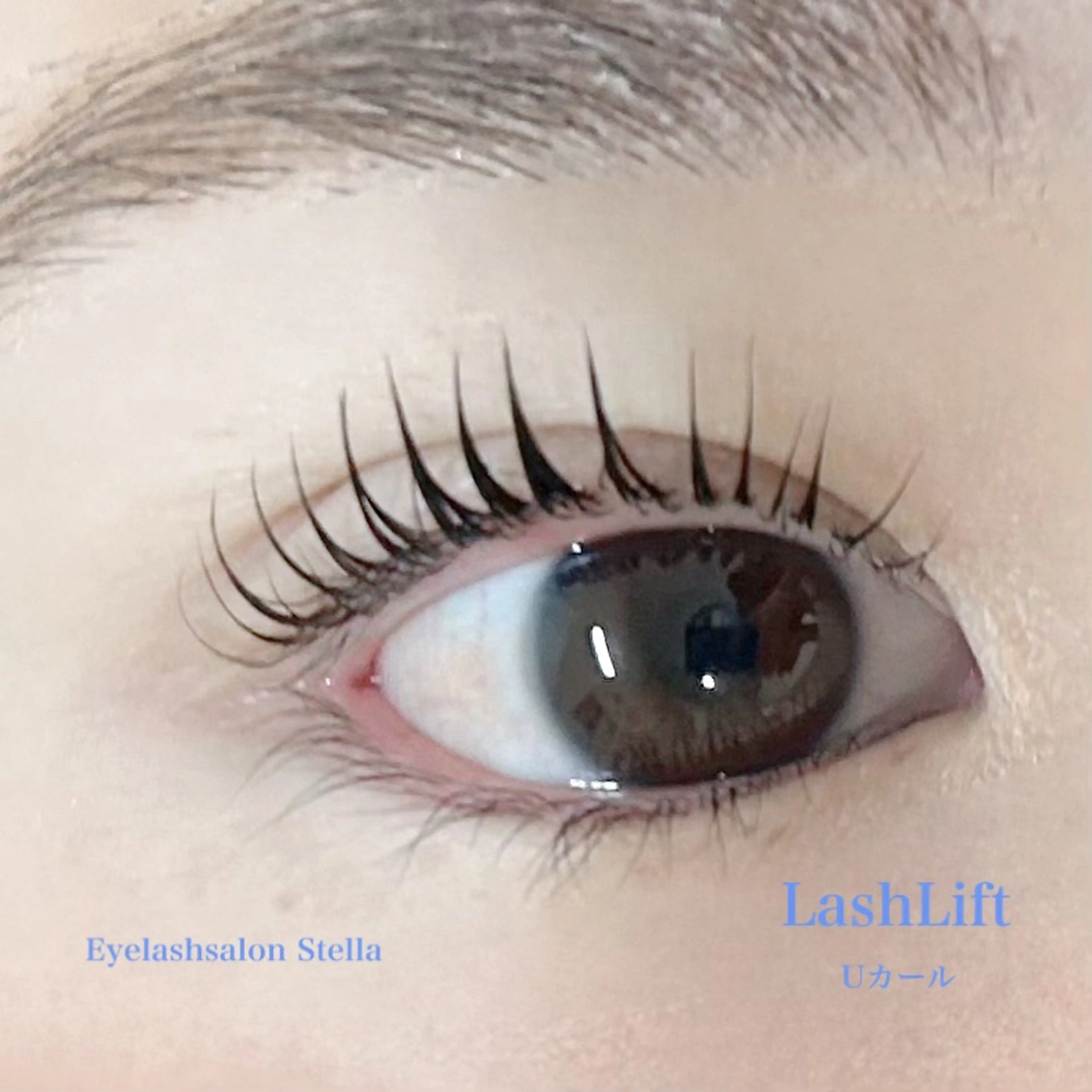 マツエク・マツパ LUCIA Mayaのマツエク・マツパデザイン