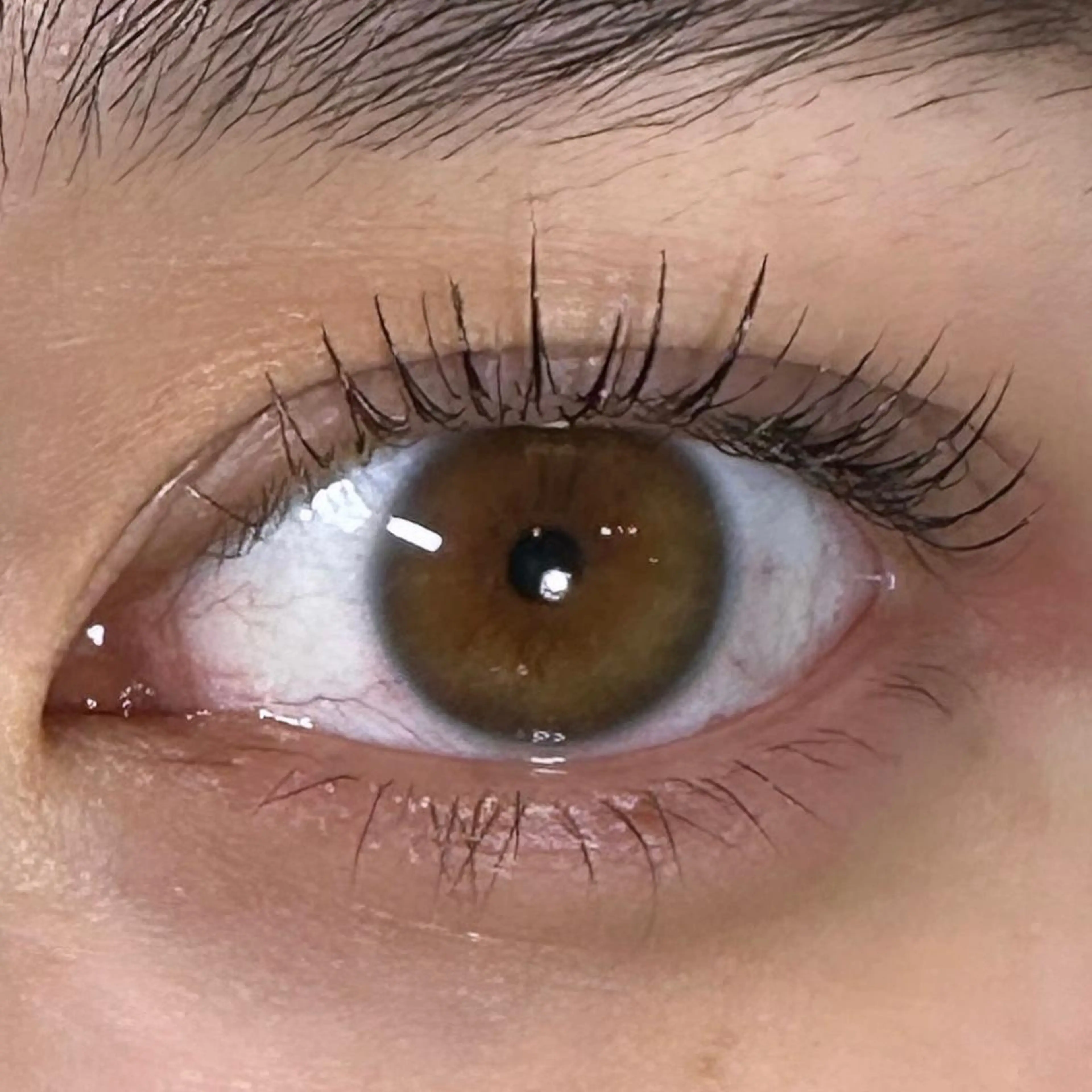 マツエク・マツパ パリジェンヌラッシュリフト 川畑🌻 アンジェリカ錦糸町のマツエク・マツパデザイン