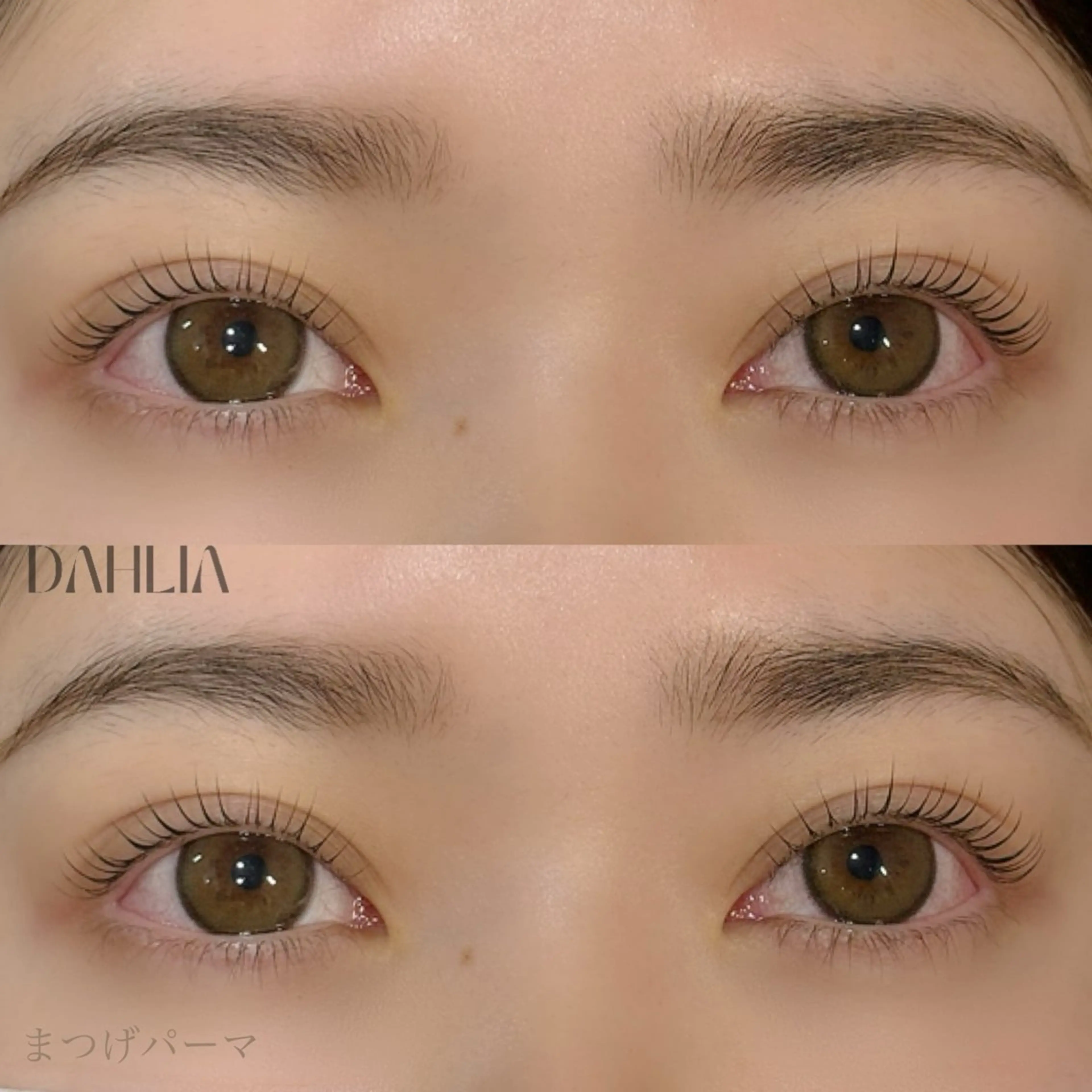 マツエク・マツパ まつげパーマ Dahliaダリア 斉藤のマツエク・マツパデザイン