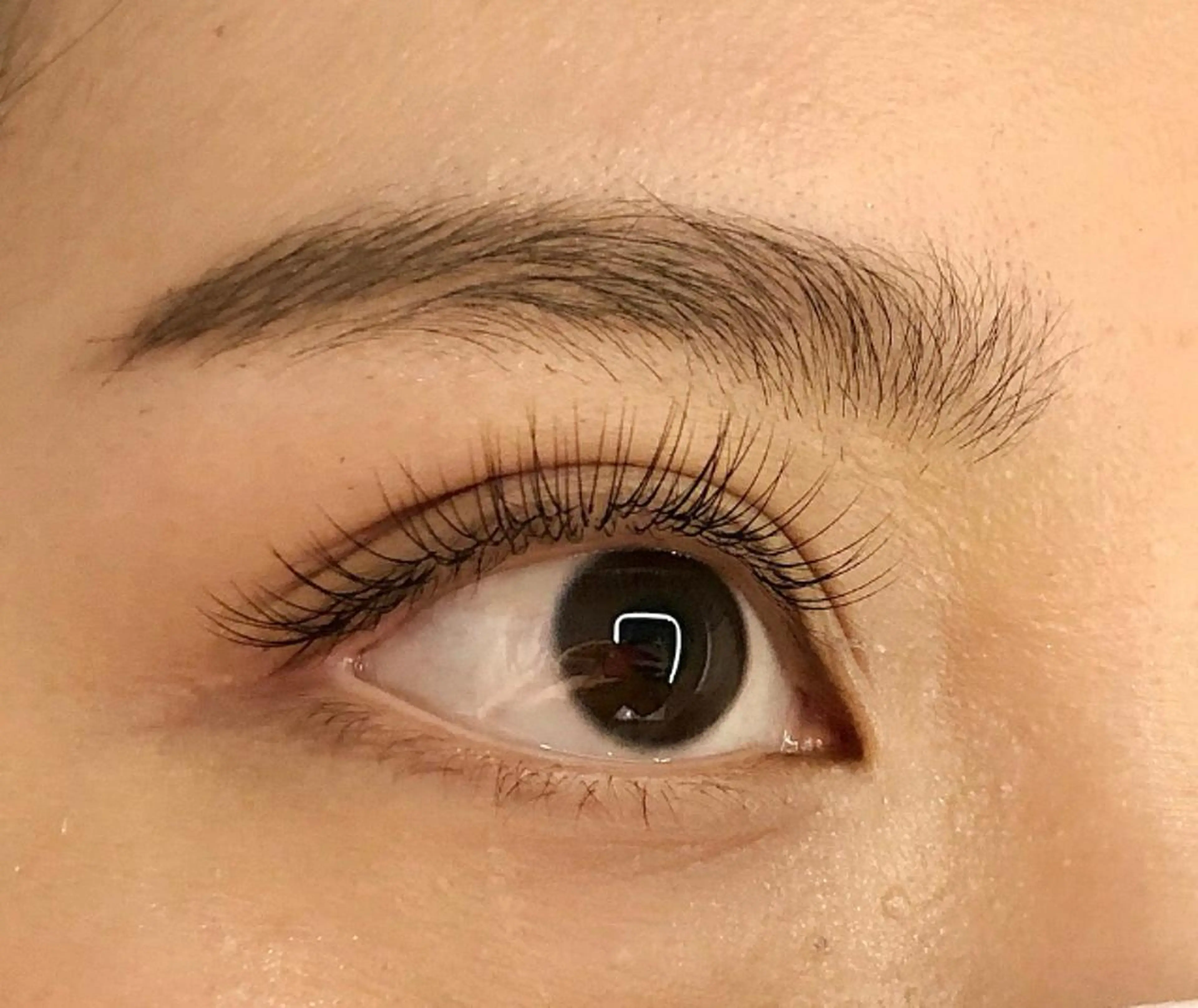 🩷 セーブル120本 ❤︎ オフ込み ❤︎ コーティング付きの写真