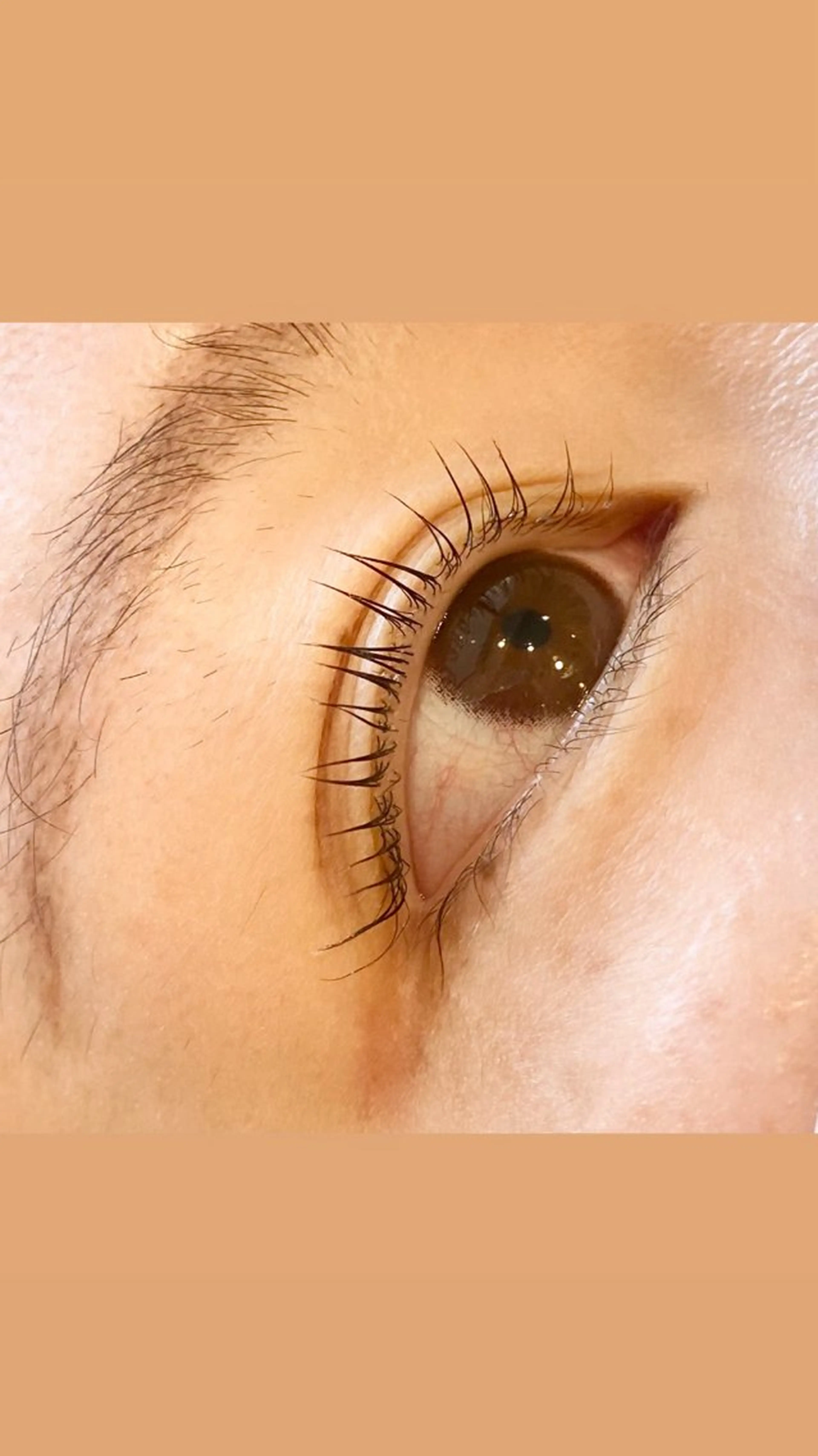 マツエク・マツパ MAQUIA米沢店 佐藤のマツエク・マツパデザイン