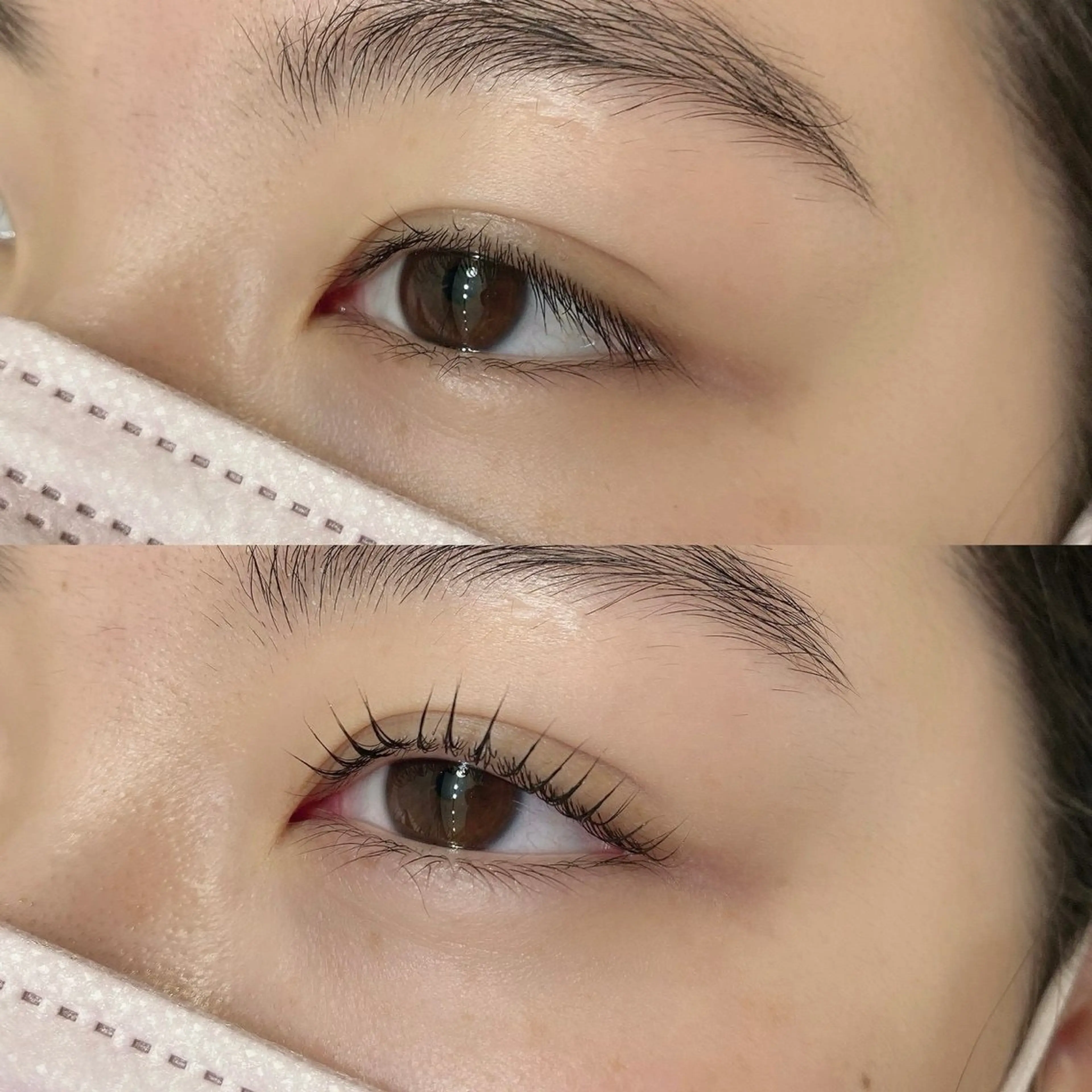 (UR30女性限定)上下まつ毛パーマ 美容コーティング付き🪽4/15 10:00~限定🦋✨の写真