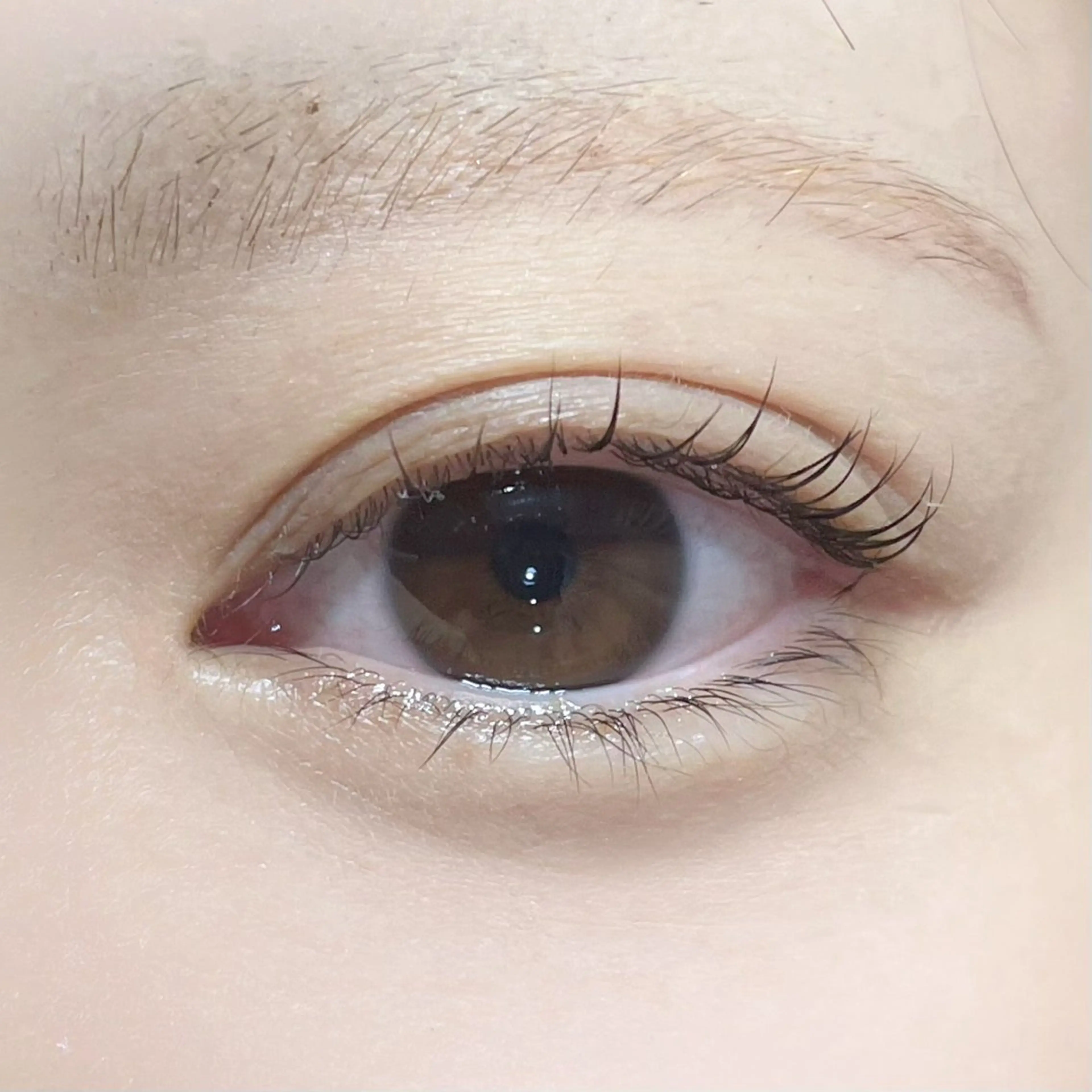 マツエク・マツパ マツパ 櫻井 怜華のマツエク・マツパデザイン