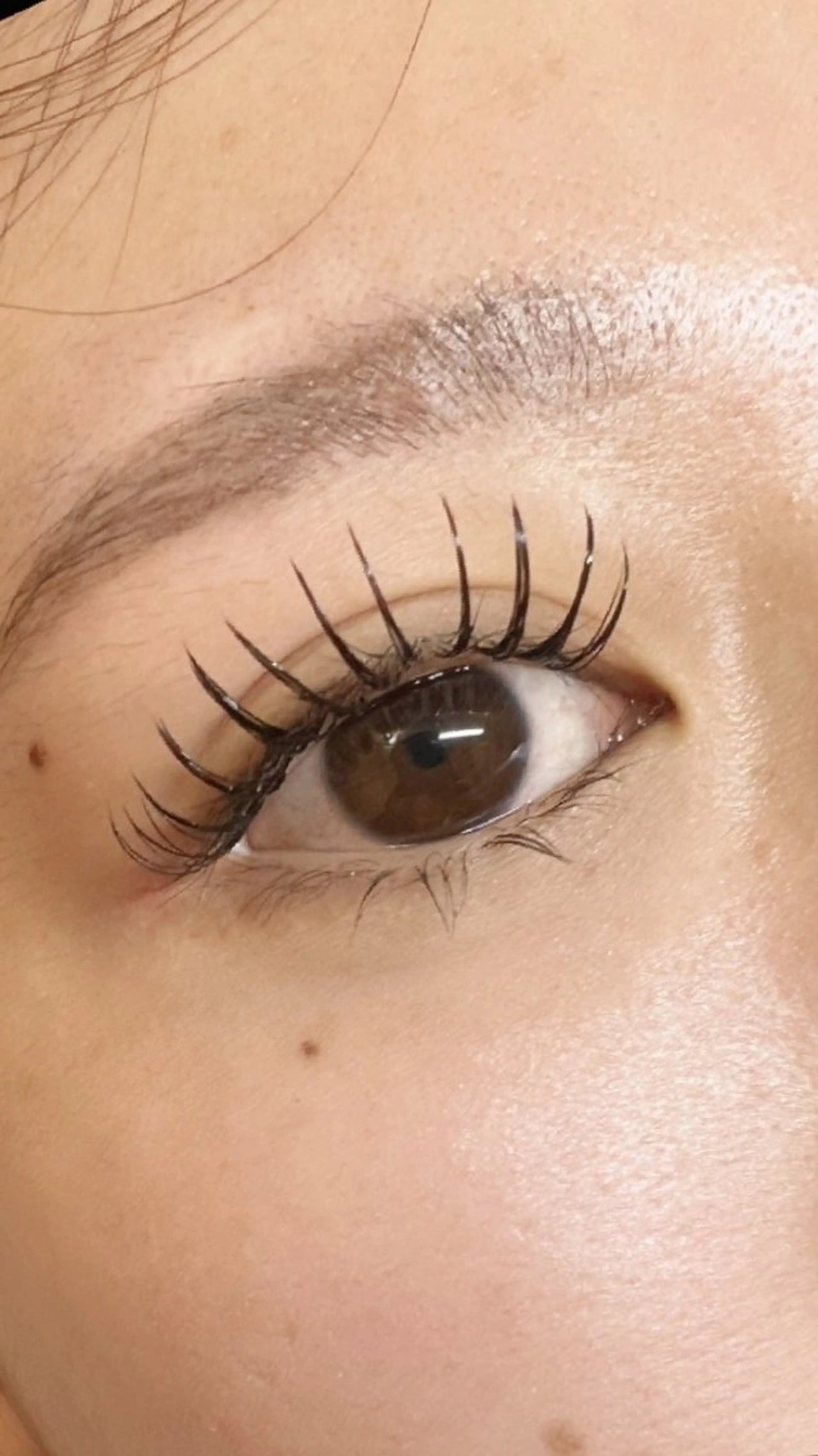 マツエク・マツパ フラットラッシュ マツエク Eyelash Hauoliの眉毛・アイブロウイメージ