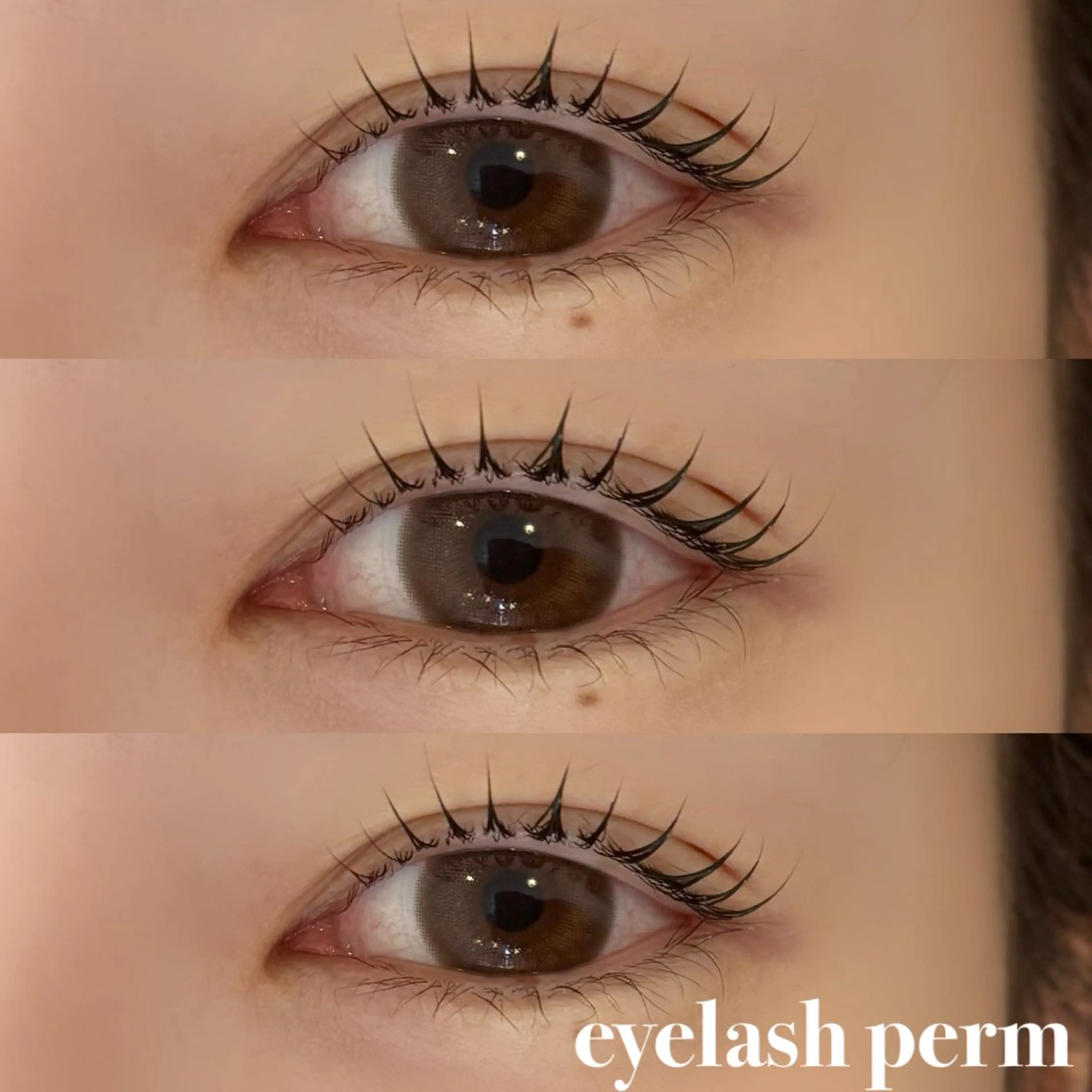 マツエク・マツパ 中川 聖奈のマツエク・マツパデザイン