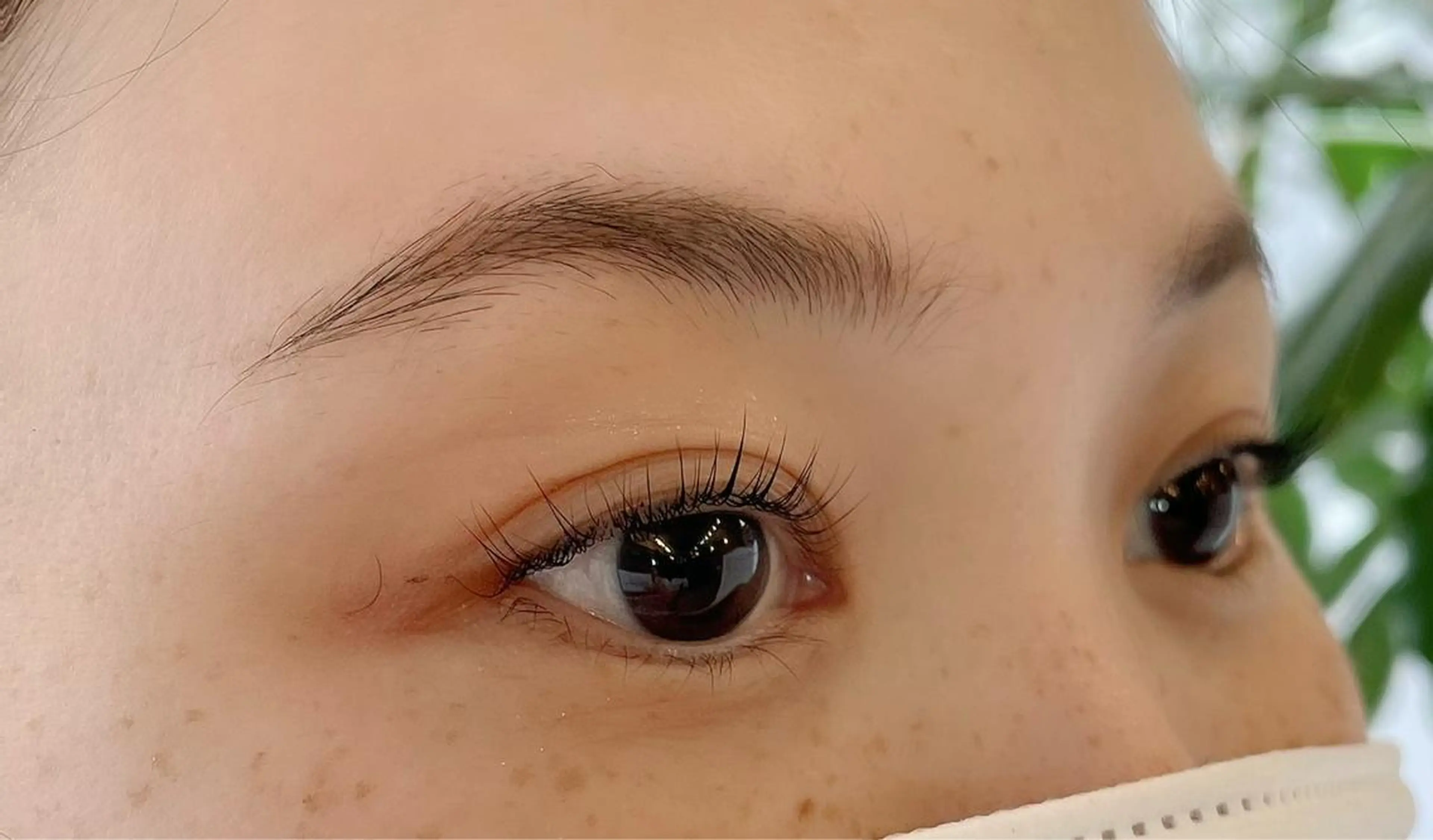 マツエク・マツパ パリジェンヌラッシュリフト マツパ ⭐️Eye＆Eyeblowsalon⭐️Dafne⭐️所属・Dafne SAIのマツエク・マツパデザイン