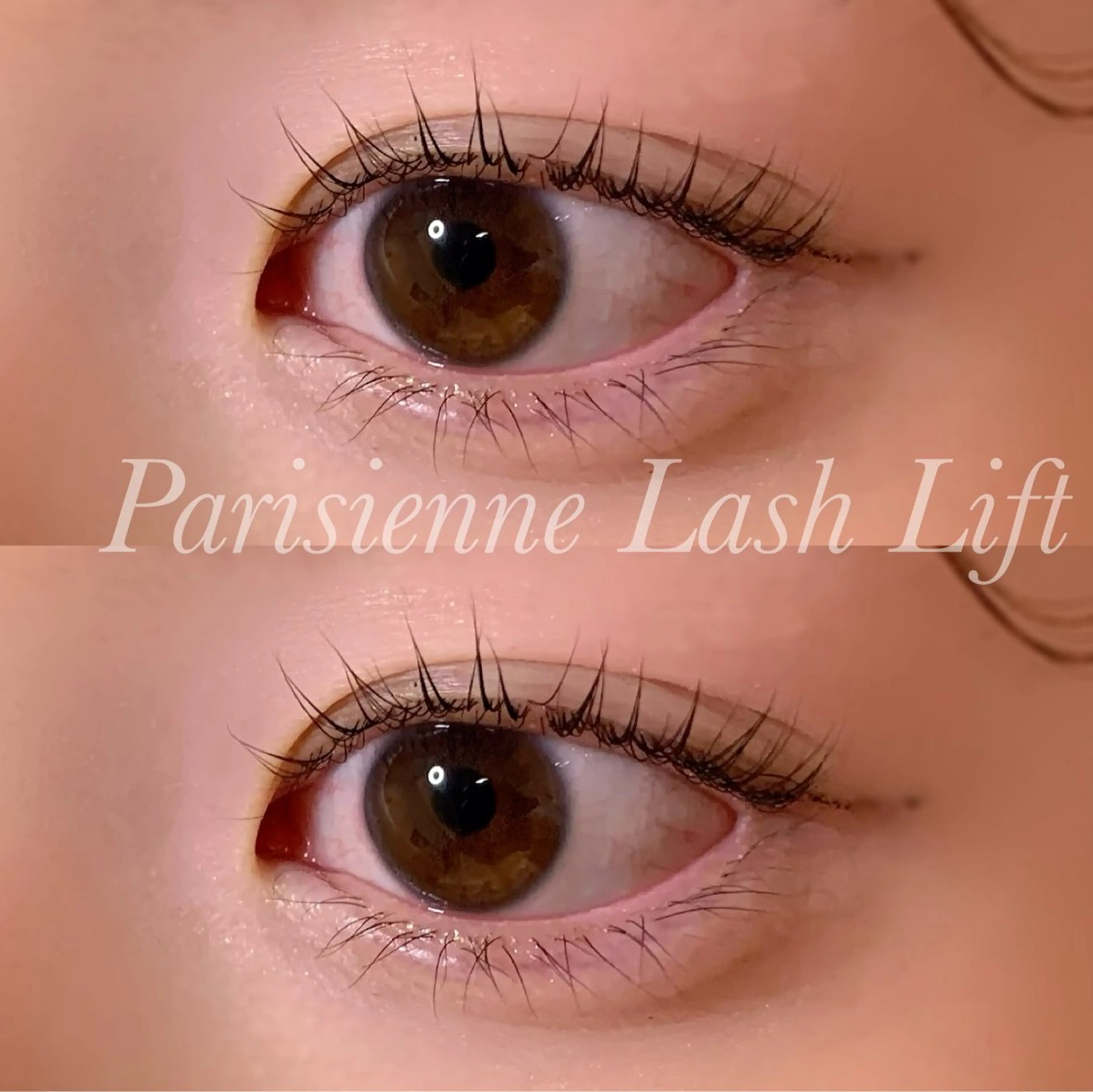 マツエク・マツパ パリジェンヌラッシュリフト マツパ Ayumi.pro 🍆N《4階》のマツエク・マツパデザイン