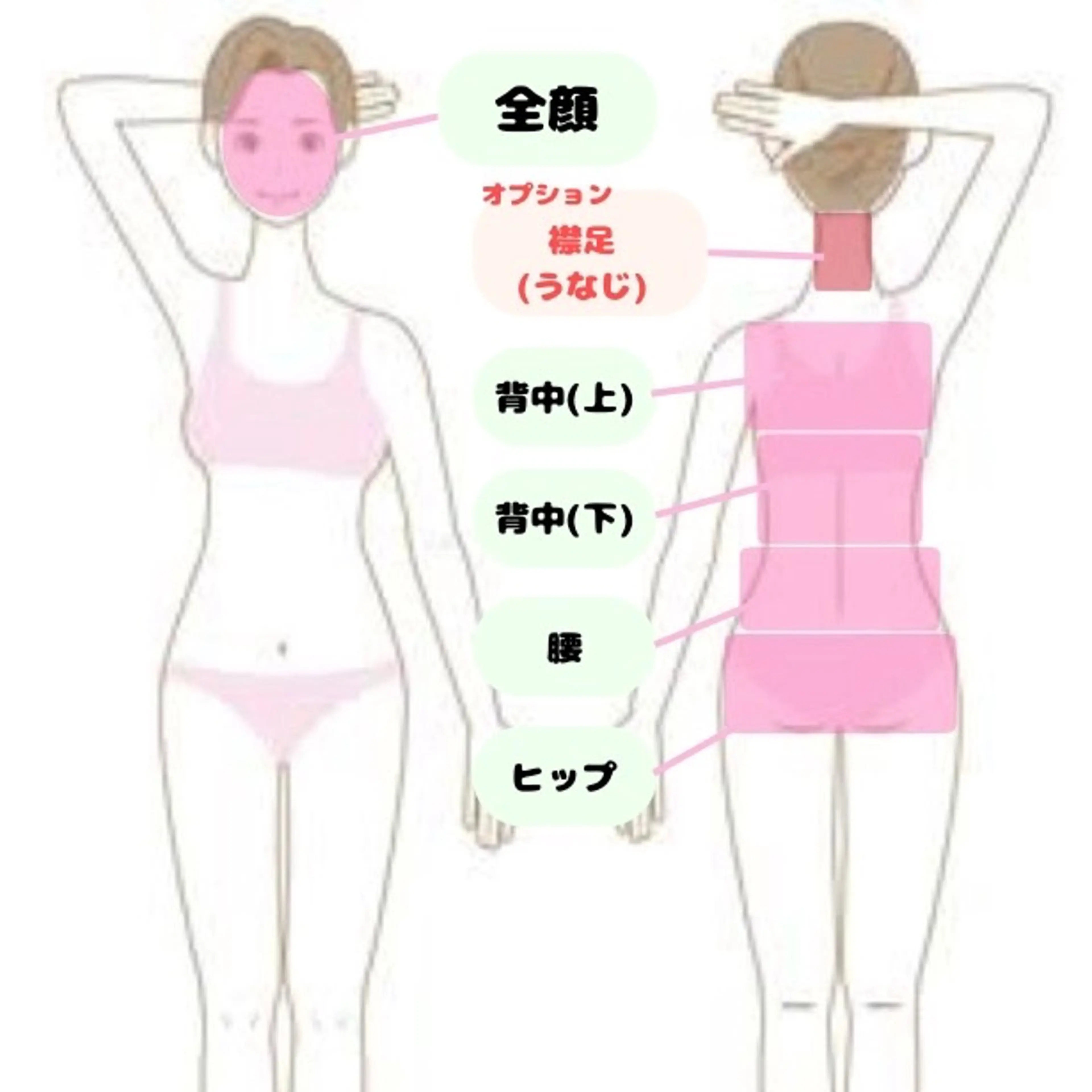 【部分脱毛☘️】　1回￥2,200　　　　　　お顔、背中(上,下)、腰、ヒップ☘️の写真