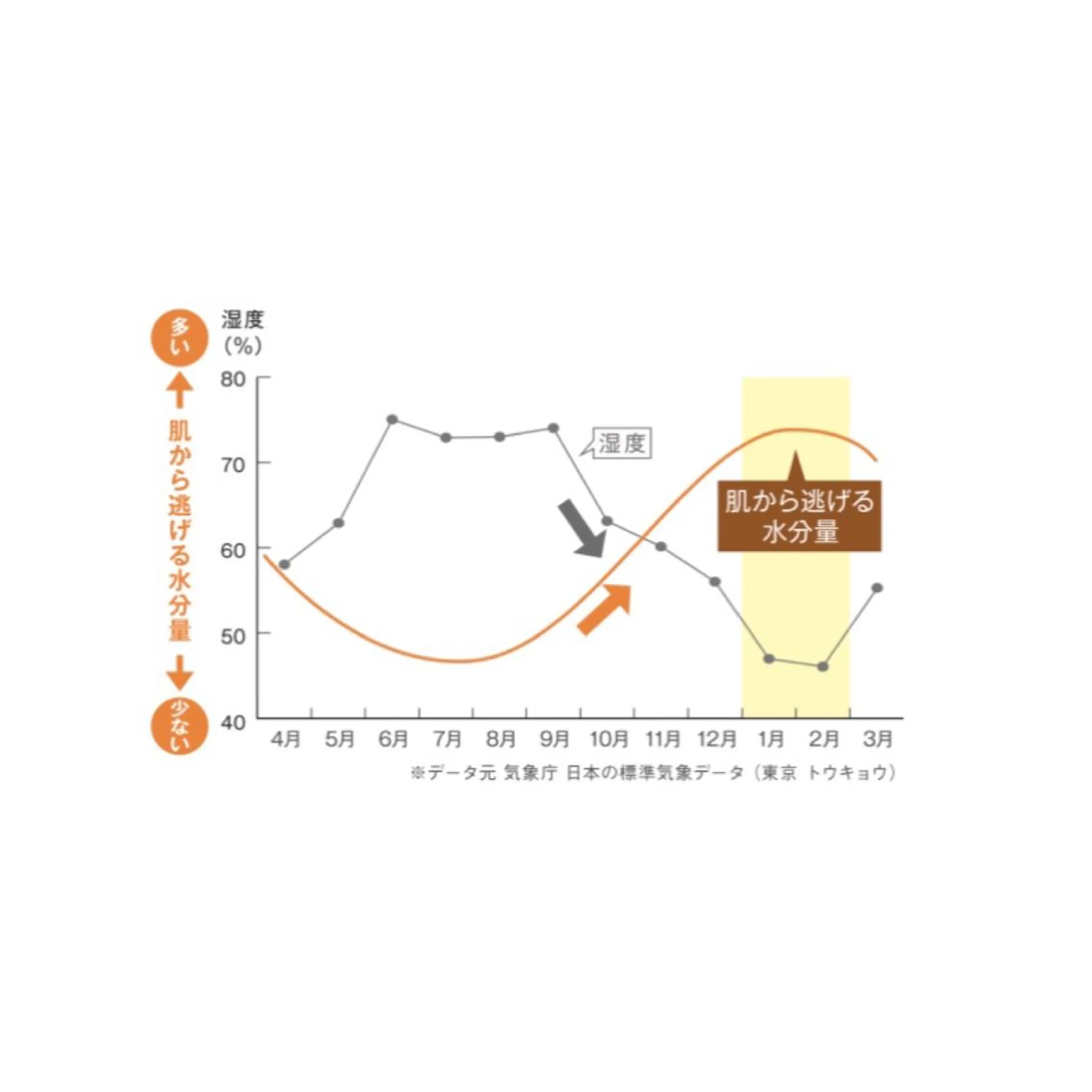 saya Mのエステ・リラクイメージ