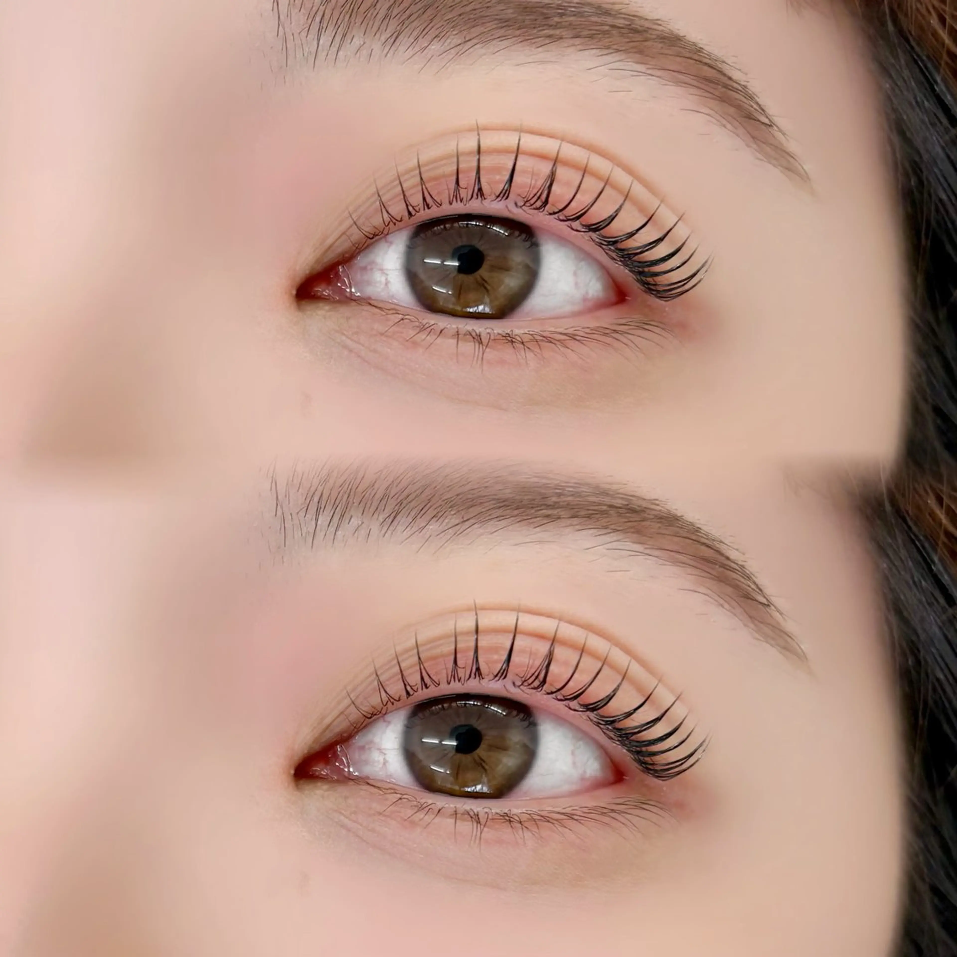 【ご新規様限定価格】 🦋パリジェンヌラッシュリフト 当日予約◎束感の写真