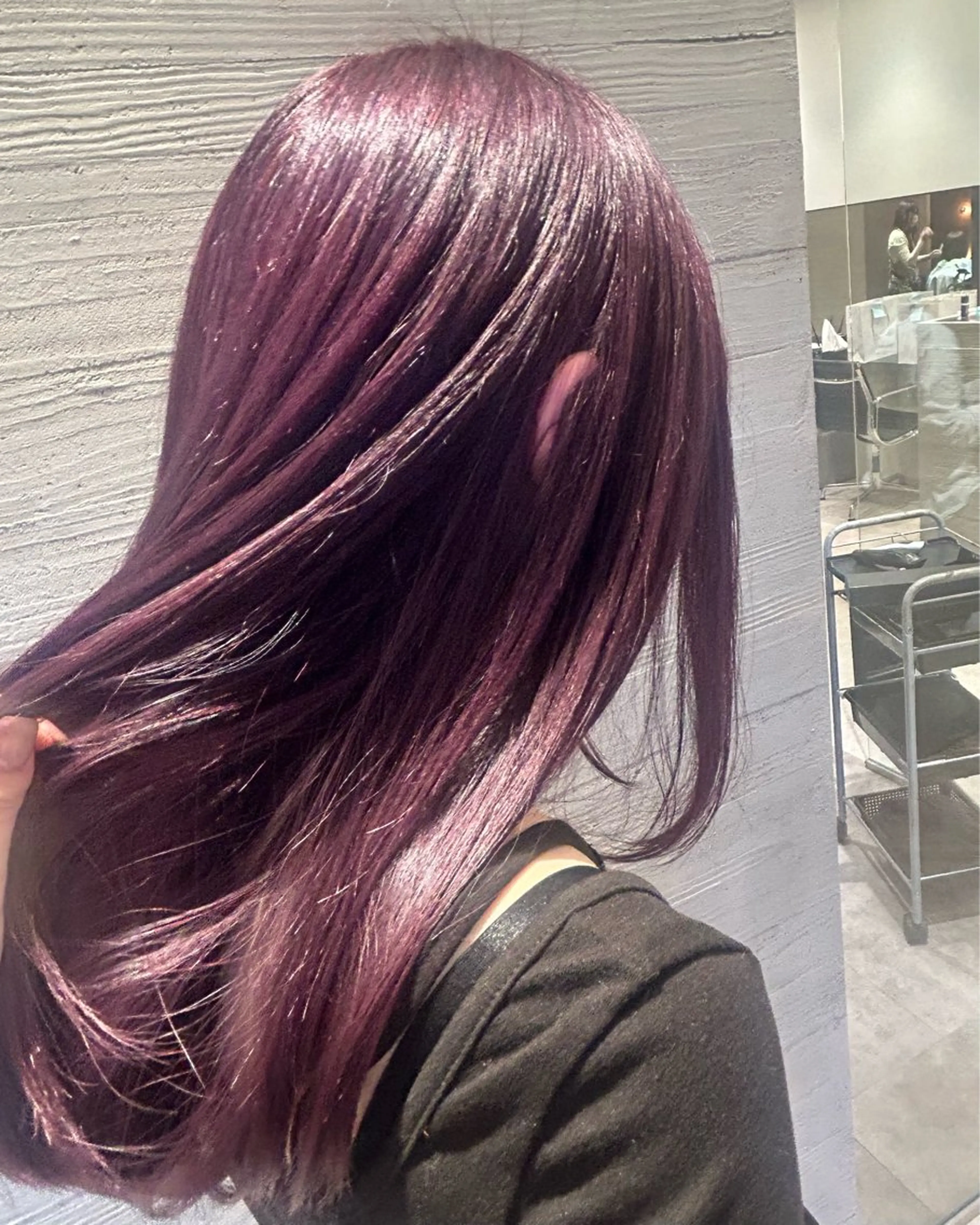 ワンカラーの写真