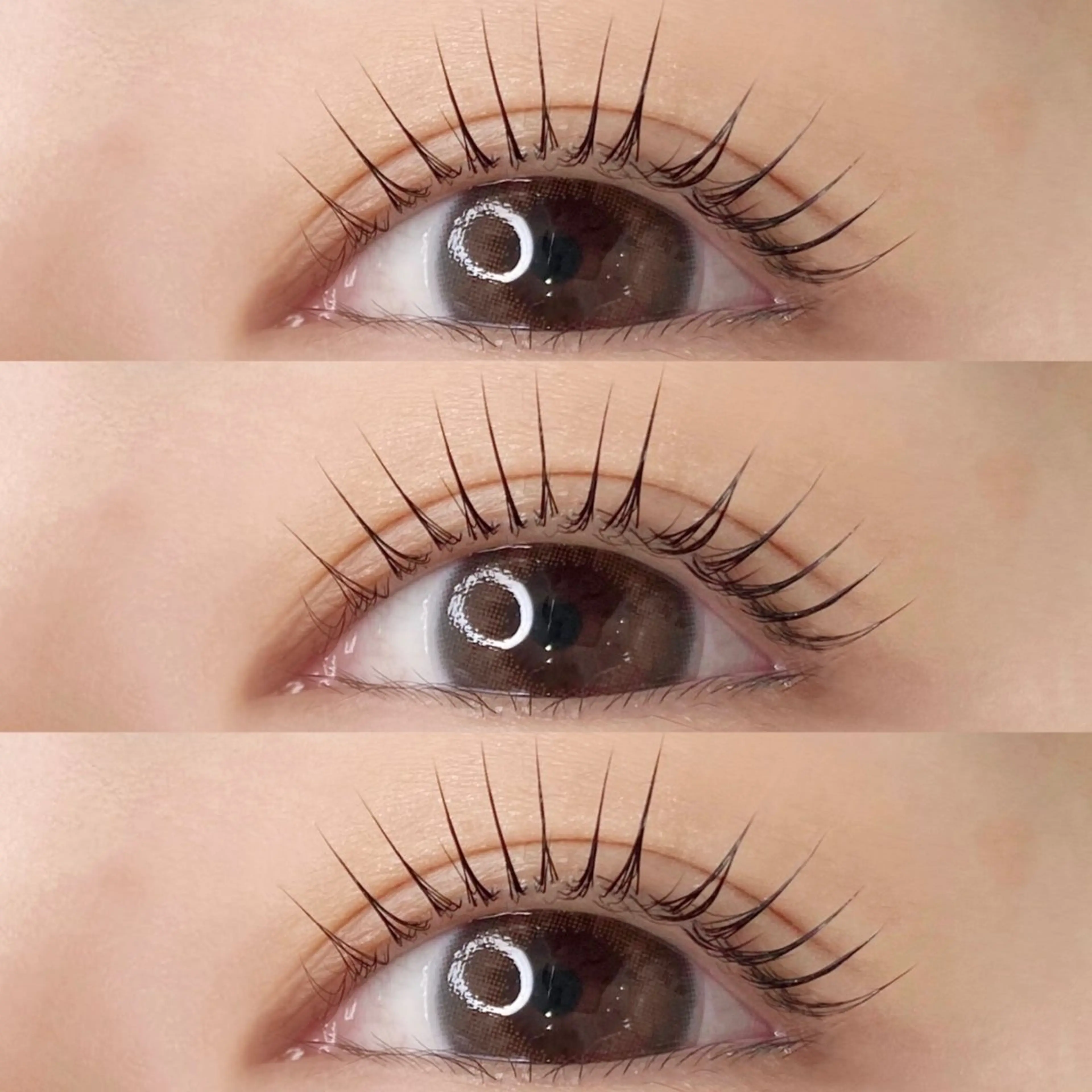 minimo限定🧣⛄️【ご新規様】ラッシュリフト(アルカリ除去.トリートメント.コーティング込)の写真