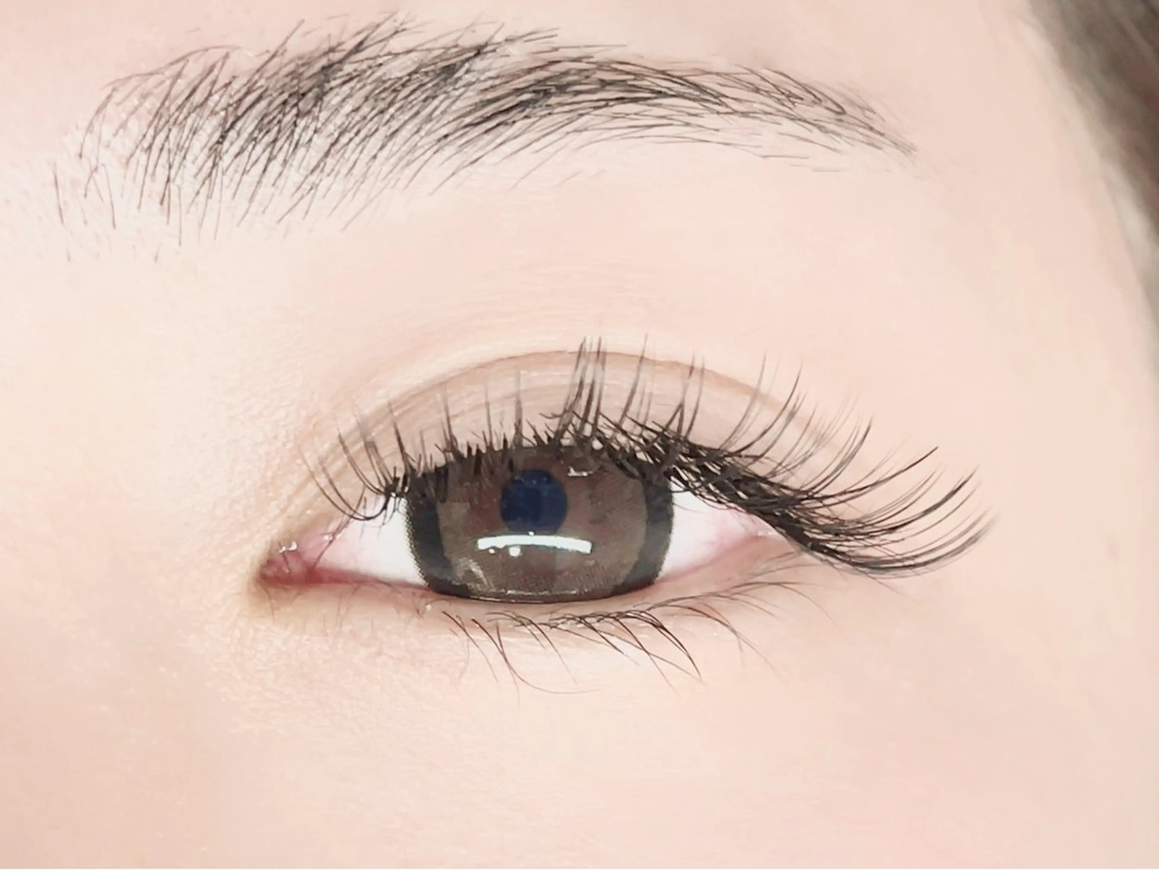 上まつげ　mixラッシュ100/ボリューム50束(150本)+フラット50本✨[加古川]の写真