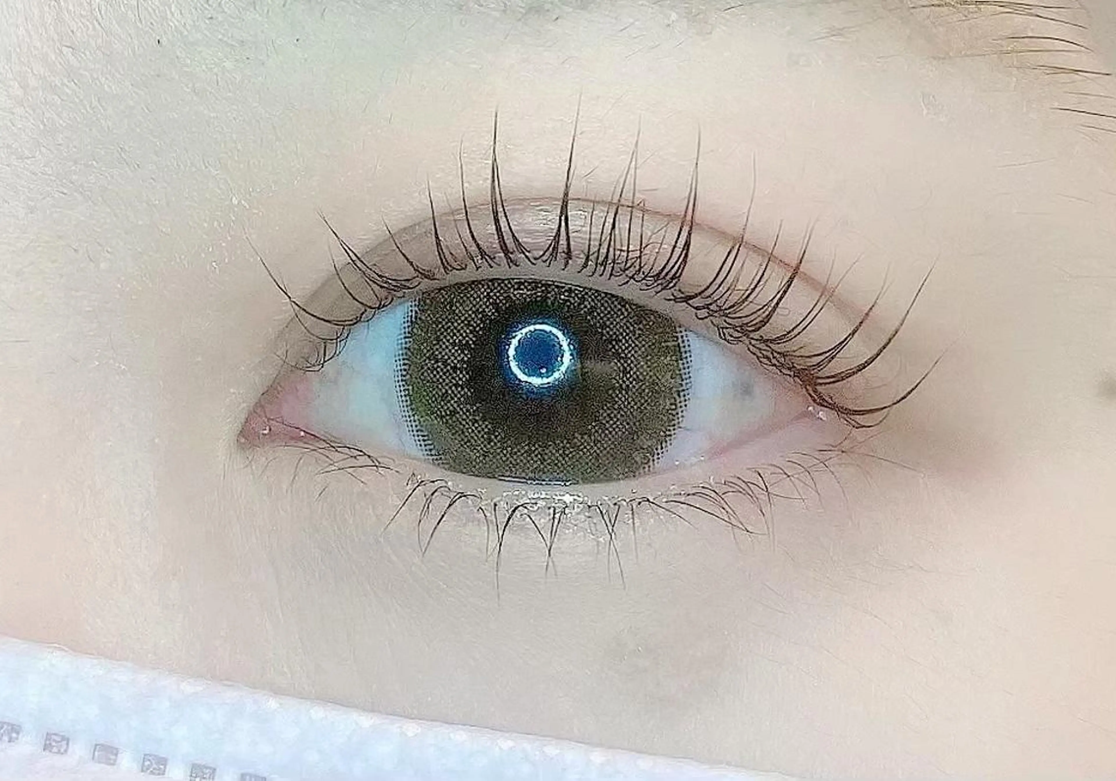 マツエク・マツパ パリジェンヌラッシュリフト AKINA /渋谷Eyelistのマツエク・マツパデザイン