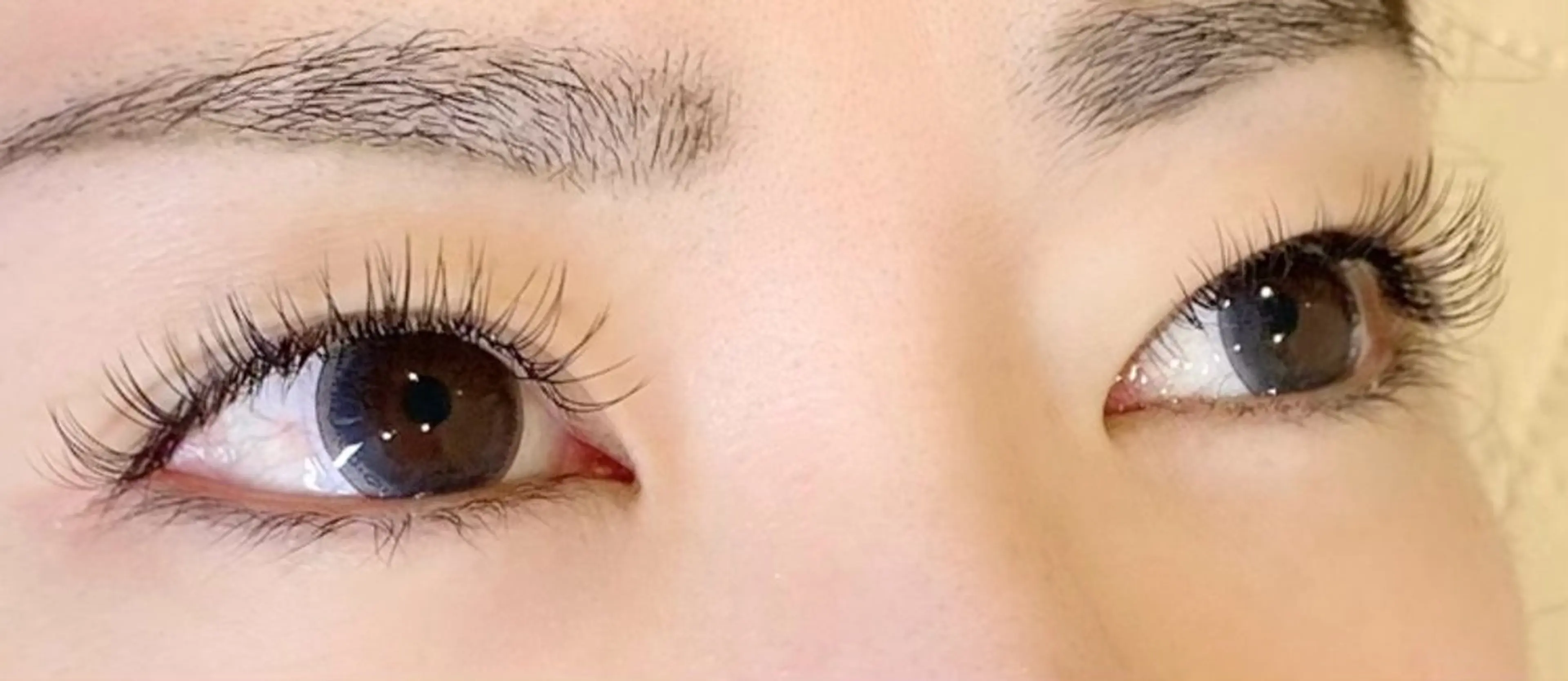 マツエク・マツパ Cカール フラットラッシュ Dolce eye lash所属・Dolce eye lash ねごろのマツエク・マツパデザイン