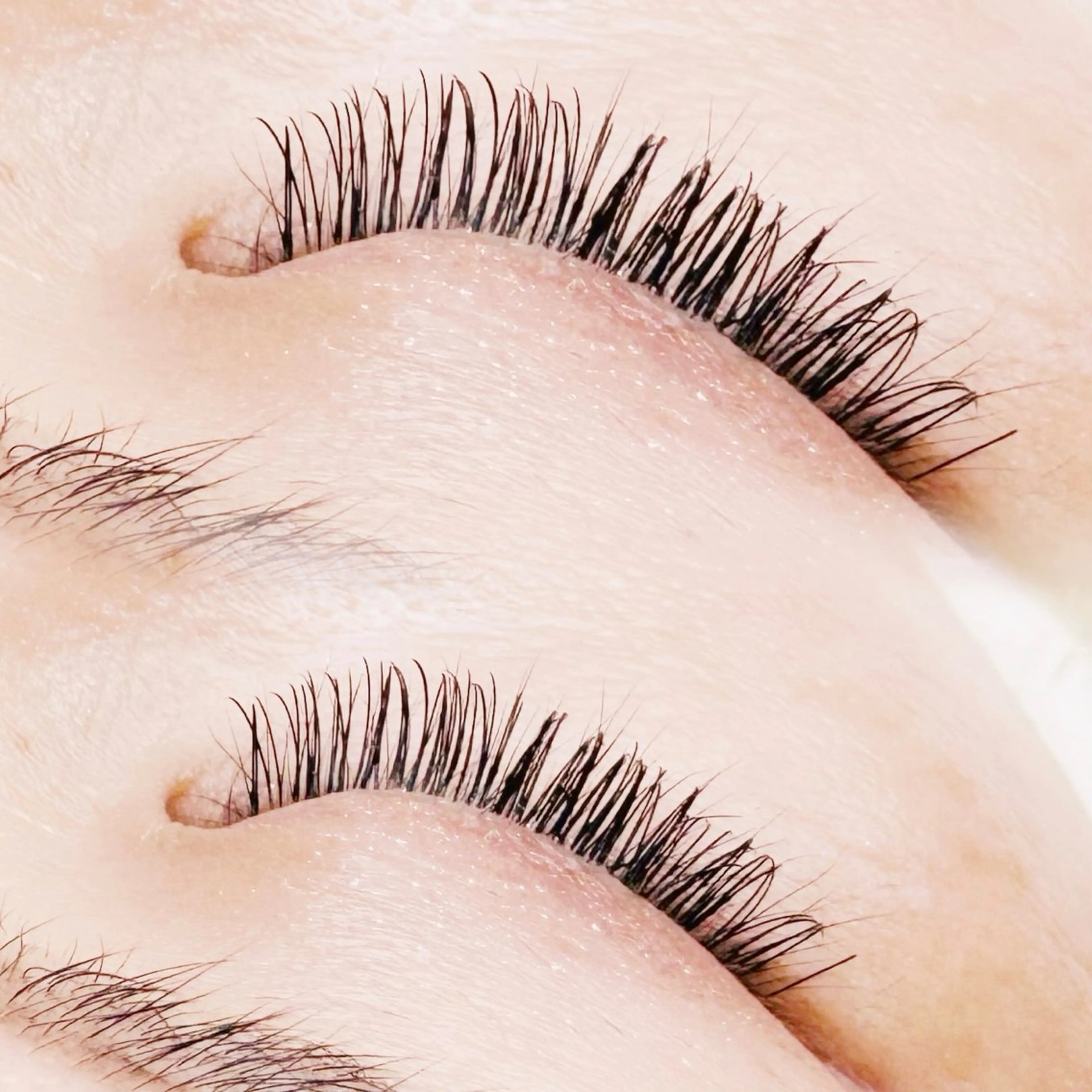 マツエク・マツパ フラットラッシュ 谷町四丁目/まつげ 𝐦𝐢𝐤𝐮.のマツエク・マツパデザイン