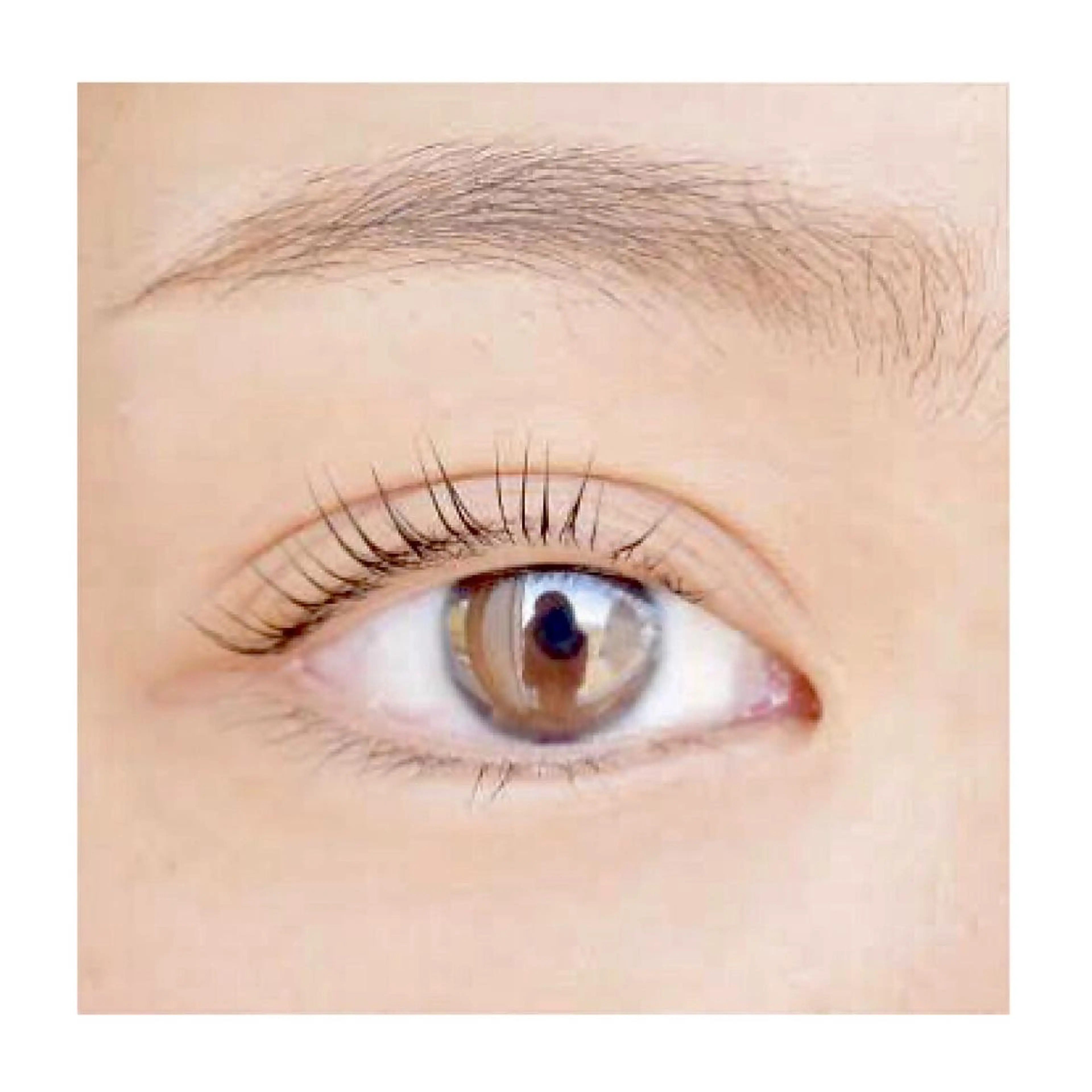 【 人気 no1 】まつ育◎✨コーティング付き✨ケラチンラッシュリフト上(初回クーポン)の写真