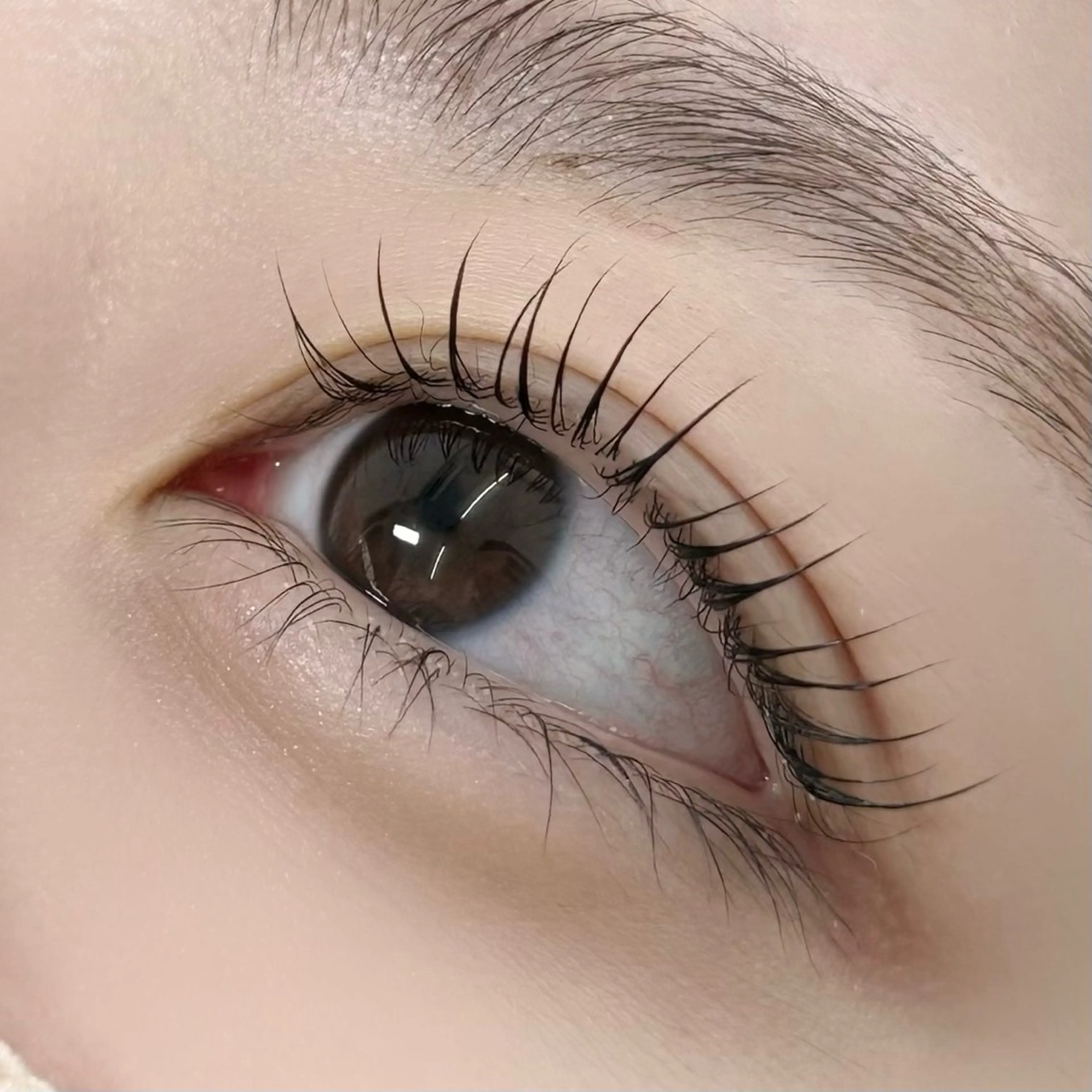 マツエク・マツパ マツパ LuLu / まつパ 🥀akaneのマツエク・マツパデザイン