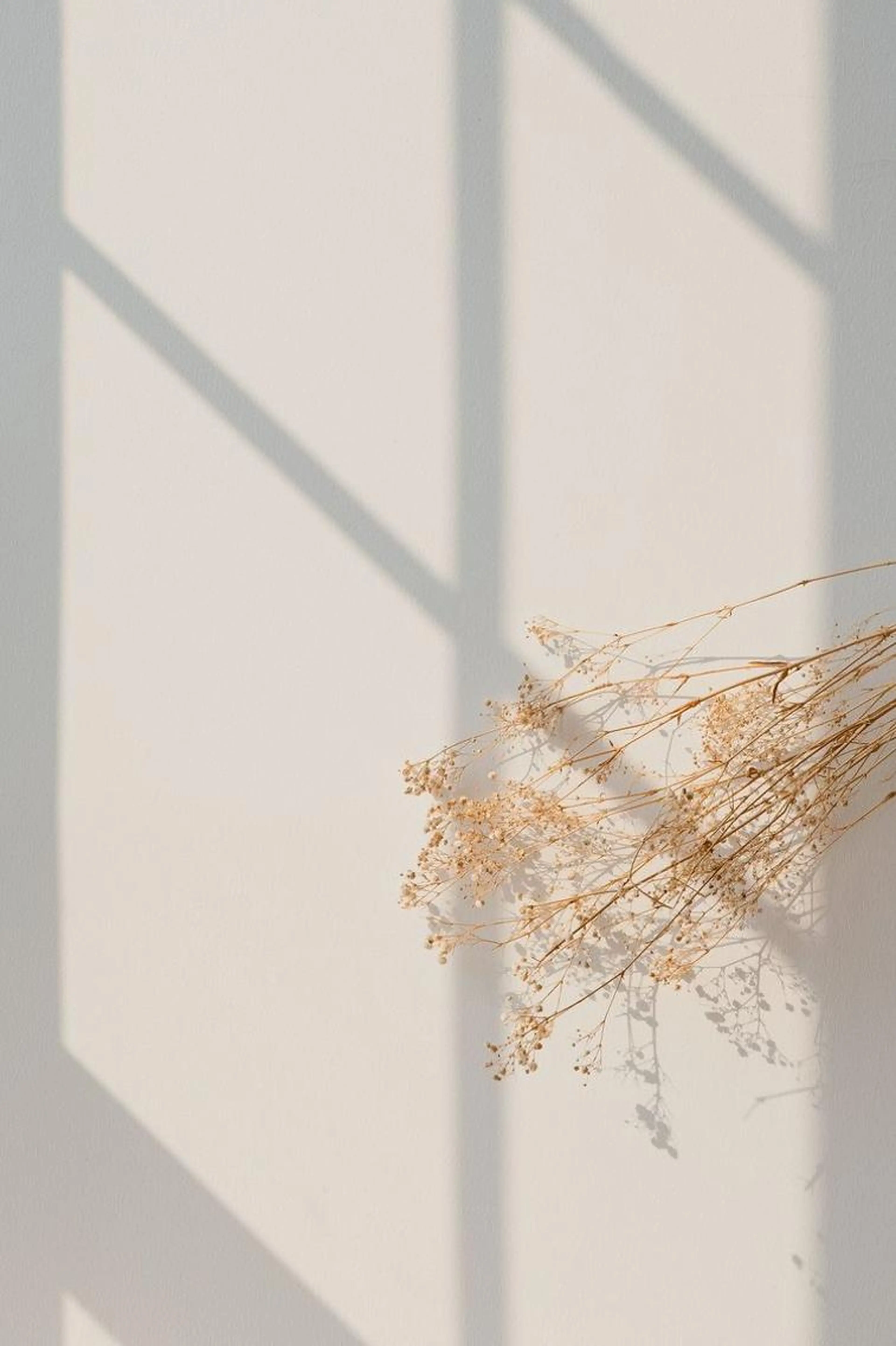 【オフあり♡フットネイル】ワンカラーコースの写真