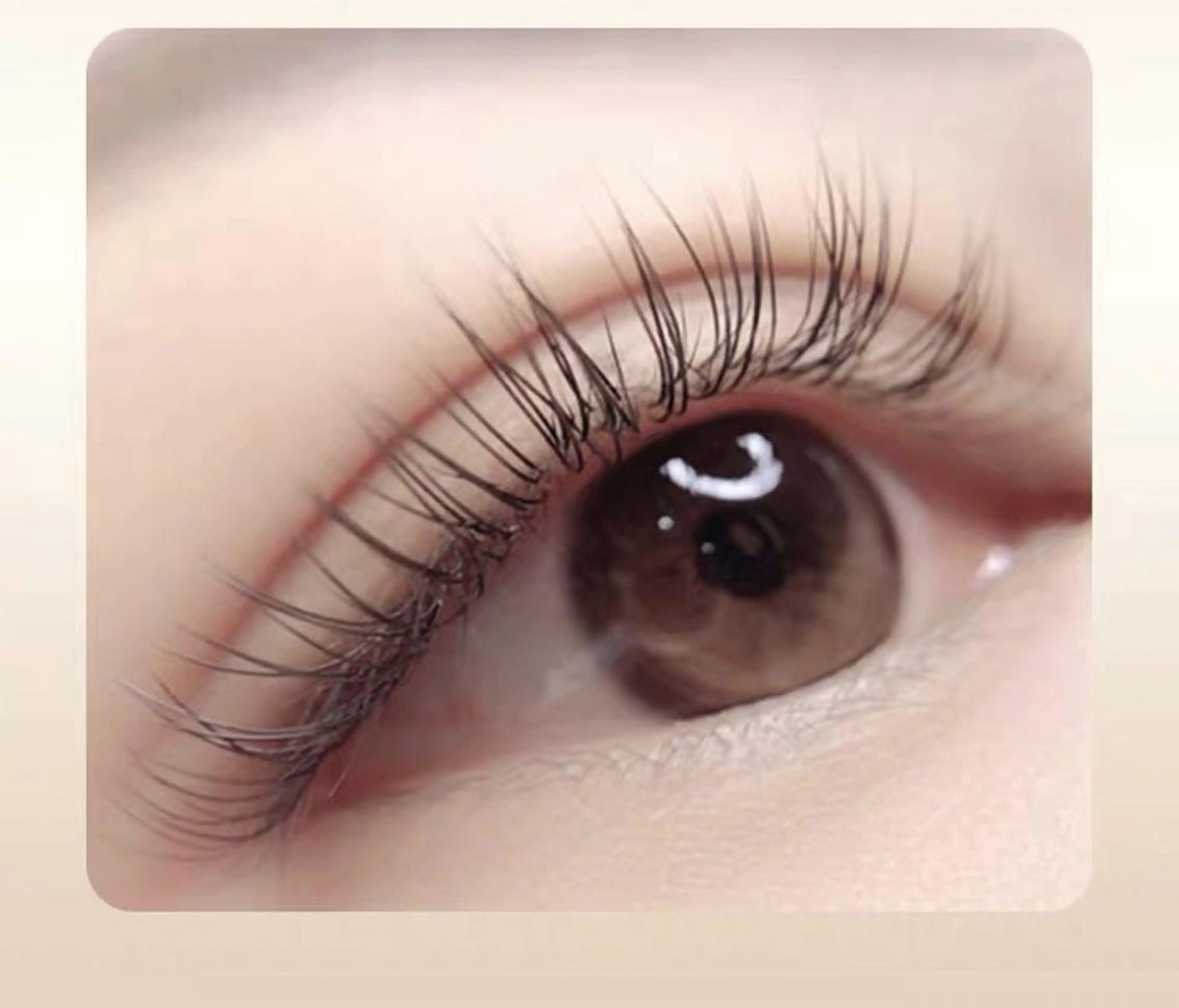 マツエク・マツパ Cute beauty2のマツエク・マツパデザイン