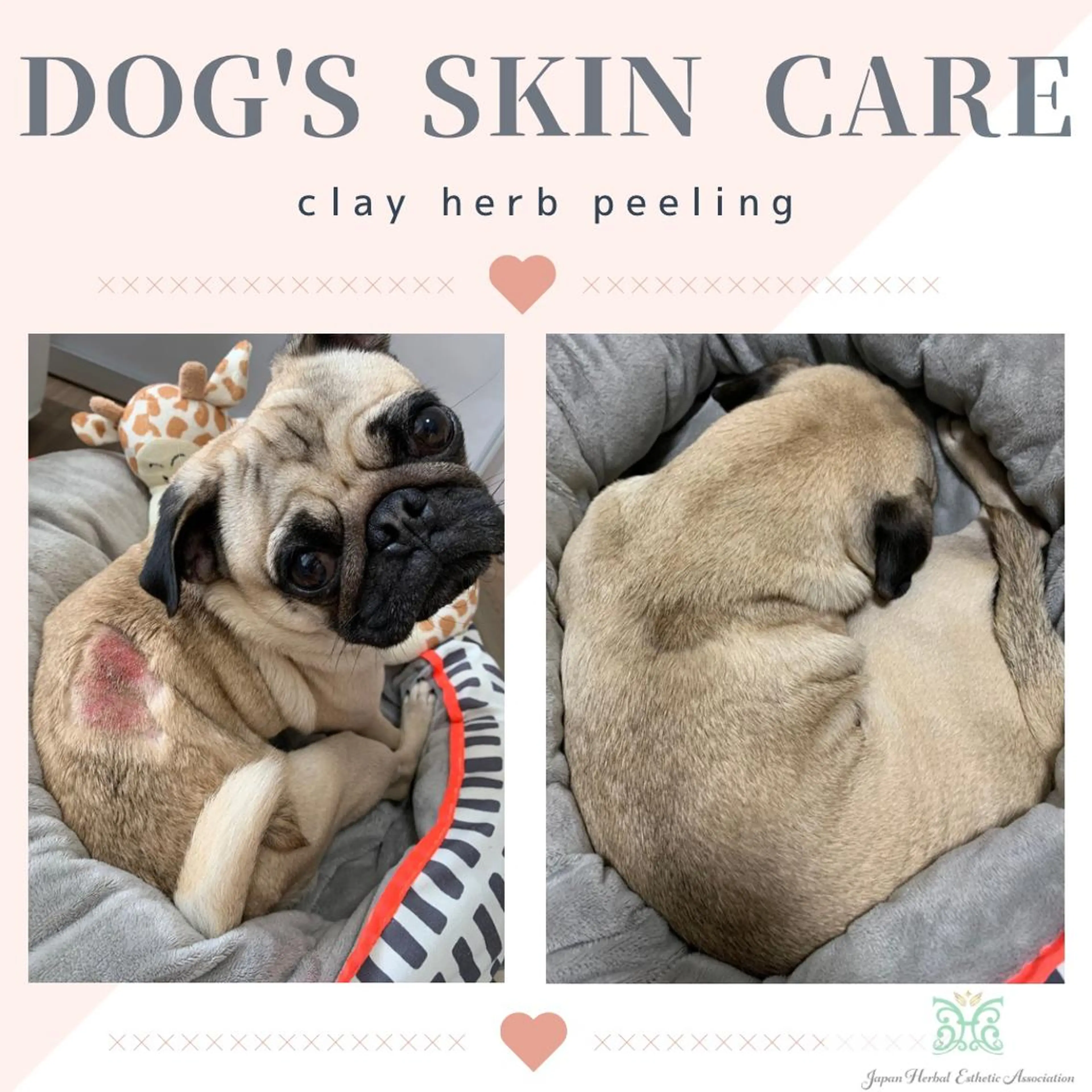 エステ リラク 【剥離ありハーブピーリング専門エステ】cerisier BEAUTÉ 原宿所属・cerisier BEAUTÉのエステ・リラクイメージ