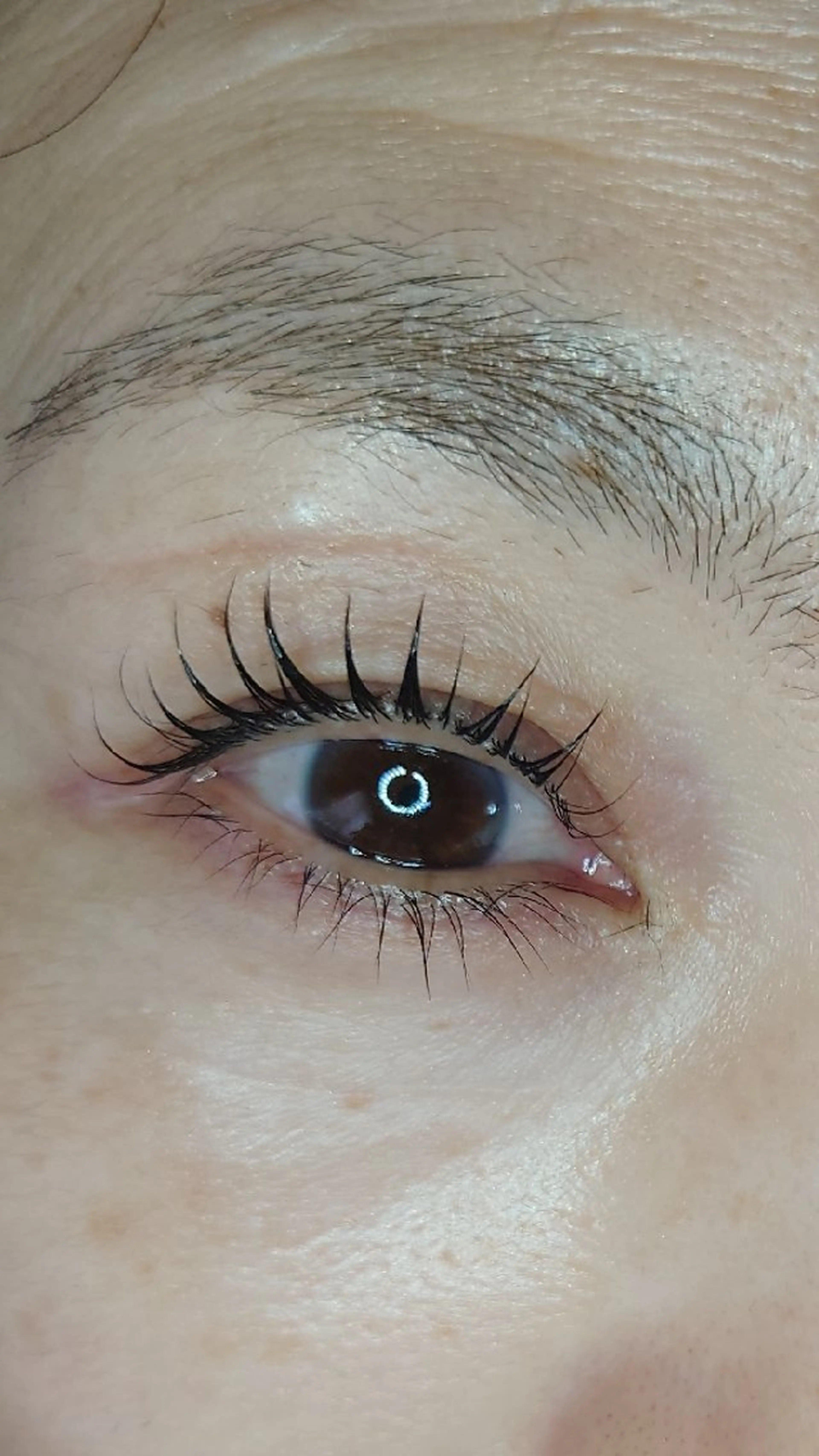 マツエク・マツパ 束感まつ毛 マツパ EYELASH lino　合志市のマツエク・マツパデザイン