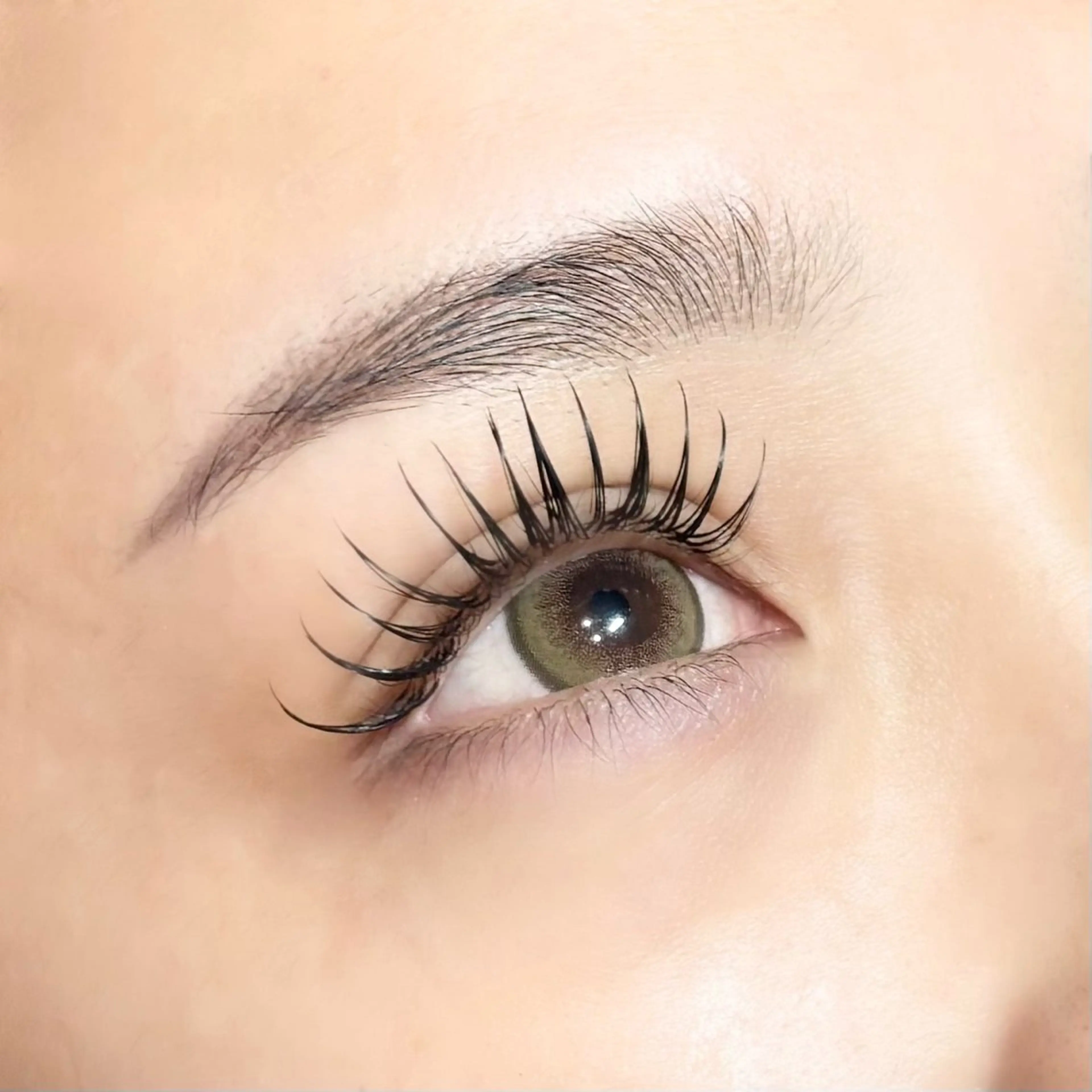 🫧LED×フラット160本(オフ込)の写真