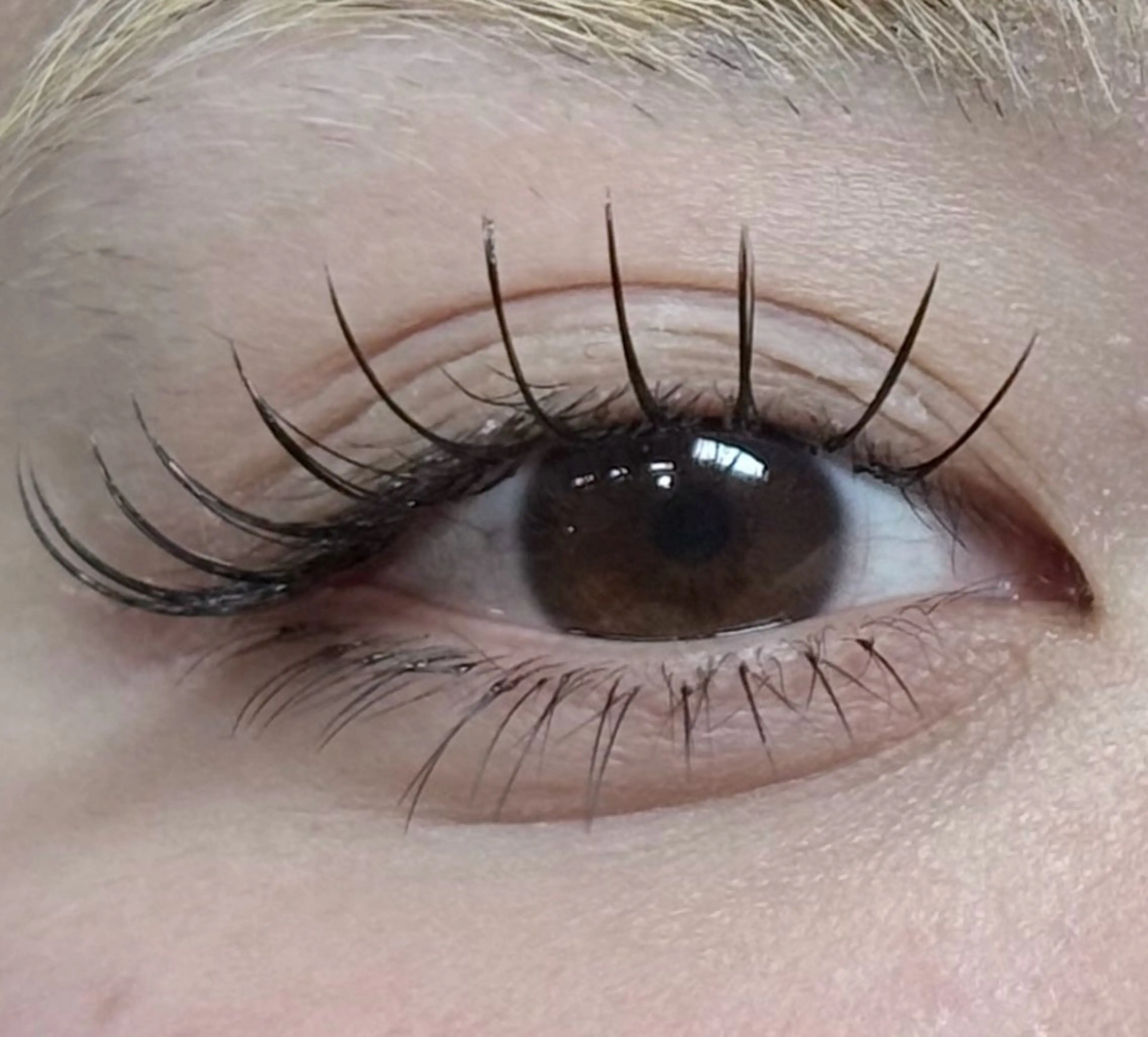 マツエク・マツパ 小林 花蓮のマツエク・マツパデザイン