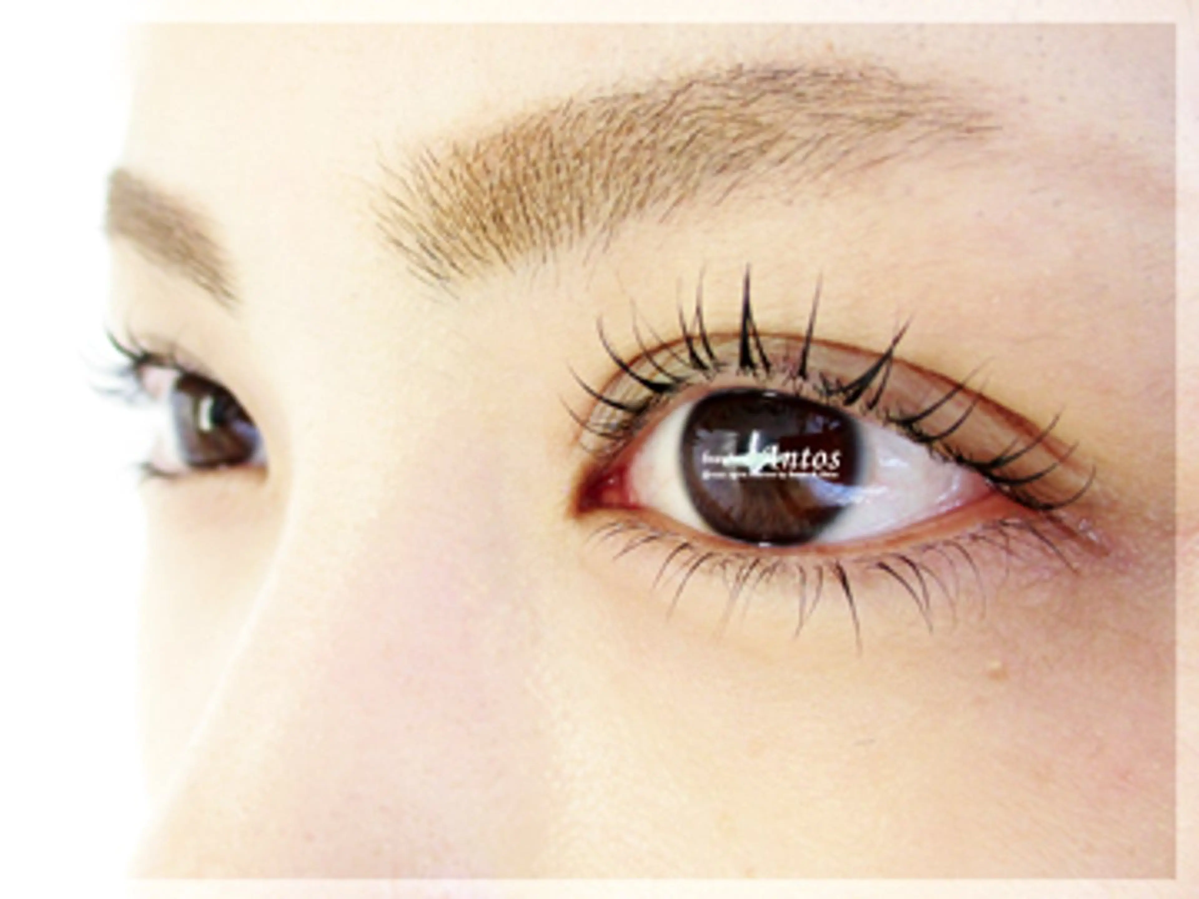 マツエク・マツパ S. SHUIのマツエク・マツパデザイン