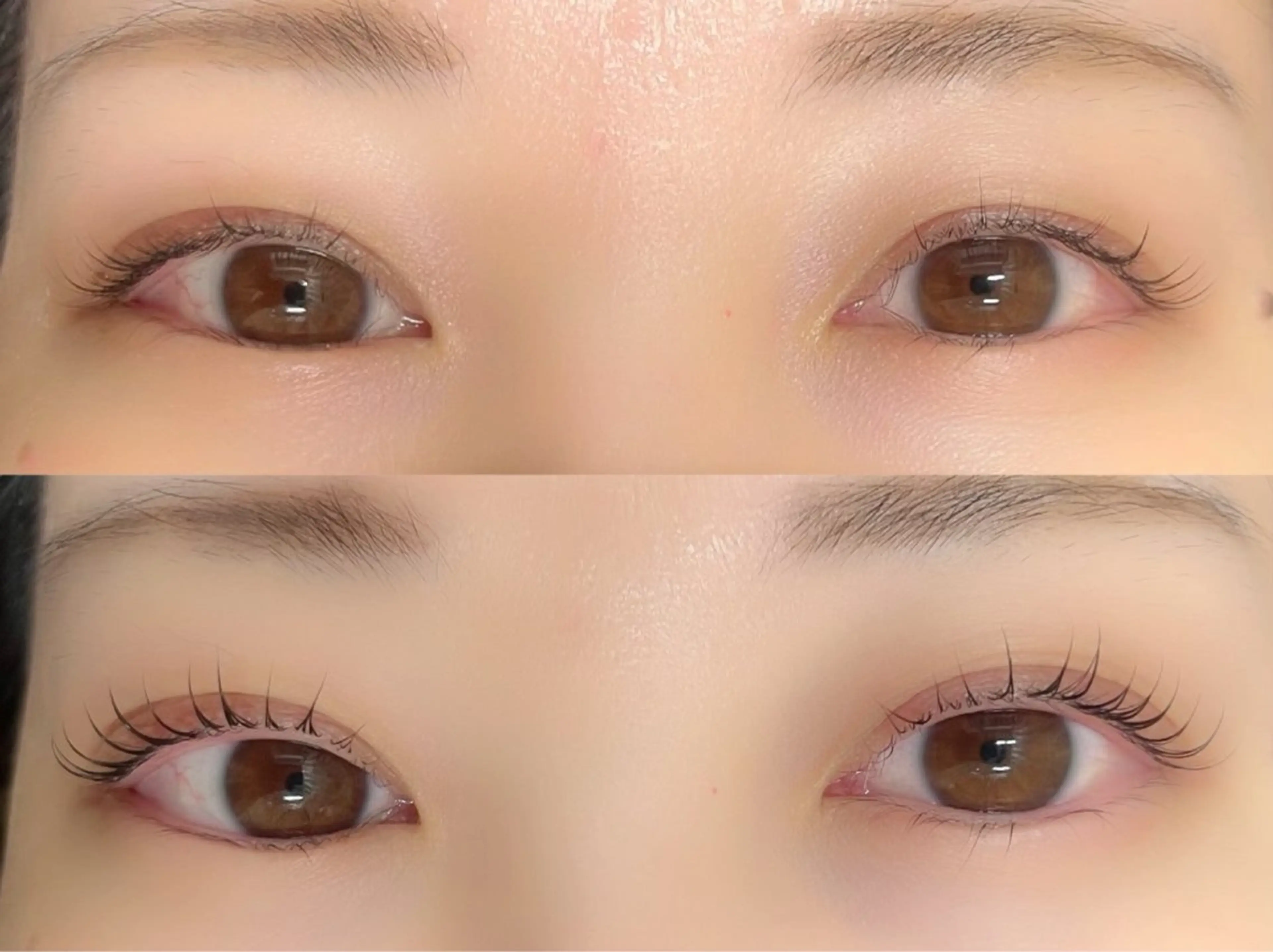 マツエク・マツパ Lupines⸝⸝꙳ Yuunaのマツエク・マツパデザイン