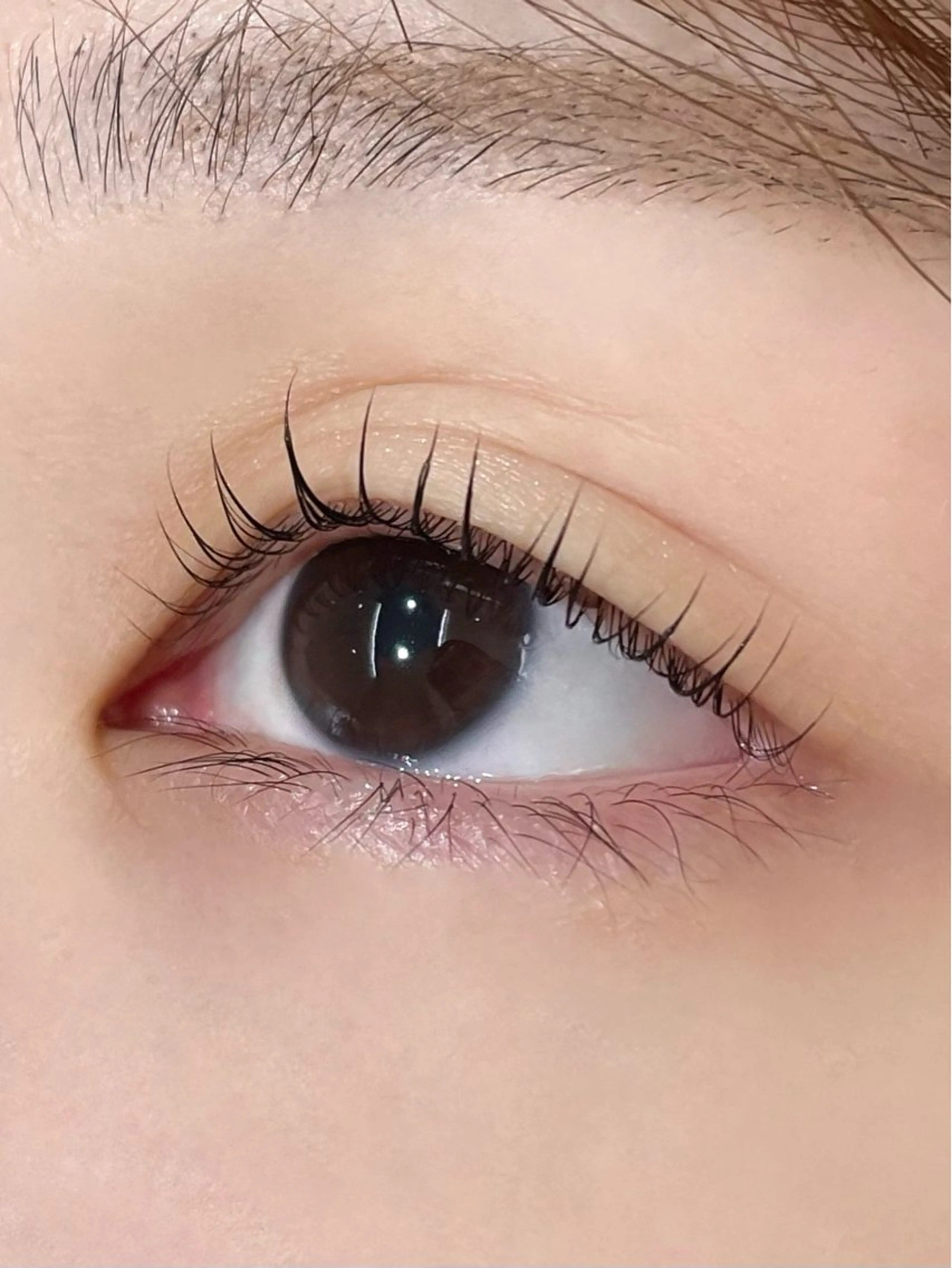 マツエク・マツパ fumina🐇🤍 ‎まつげパーマ🫧のマツエク・マツパデザイン