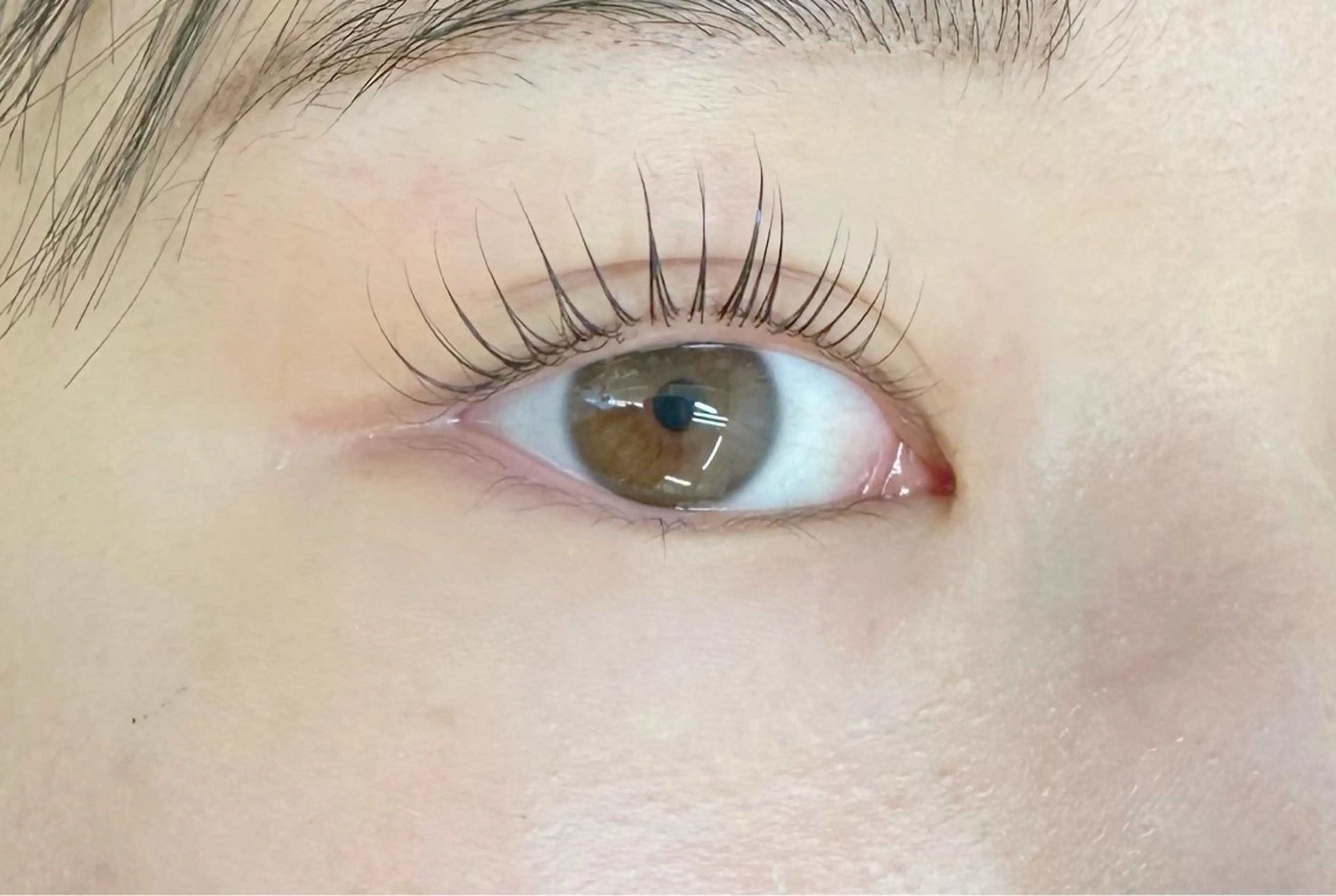 🌺パリジェンヌラッシュリフト🌺 〜トリートメント、コーティング付き〜の写真