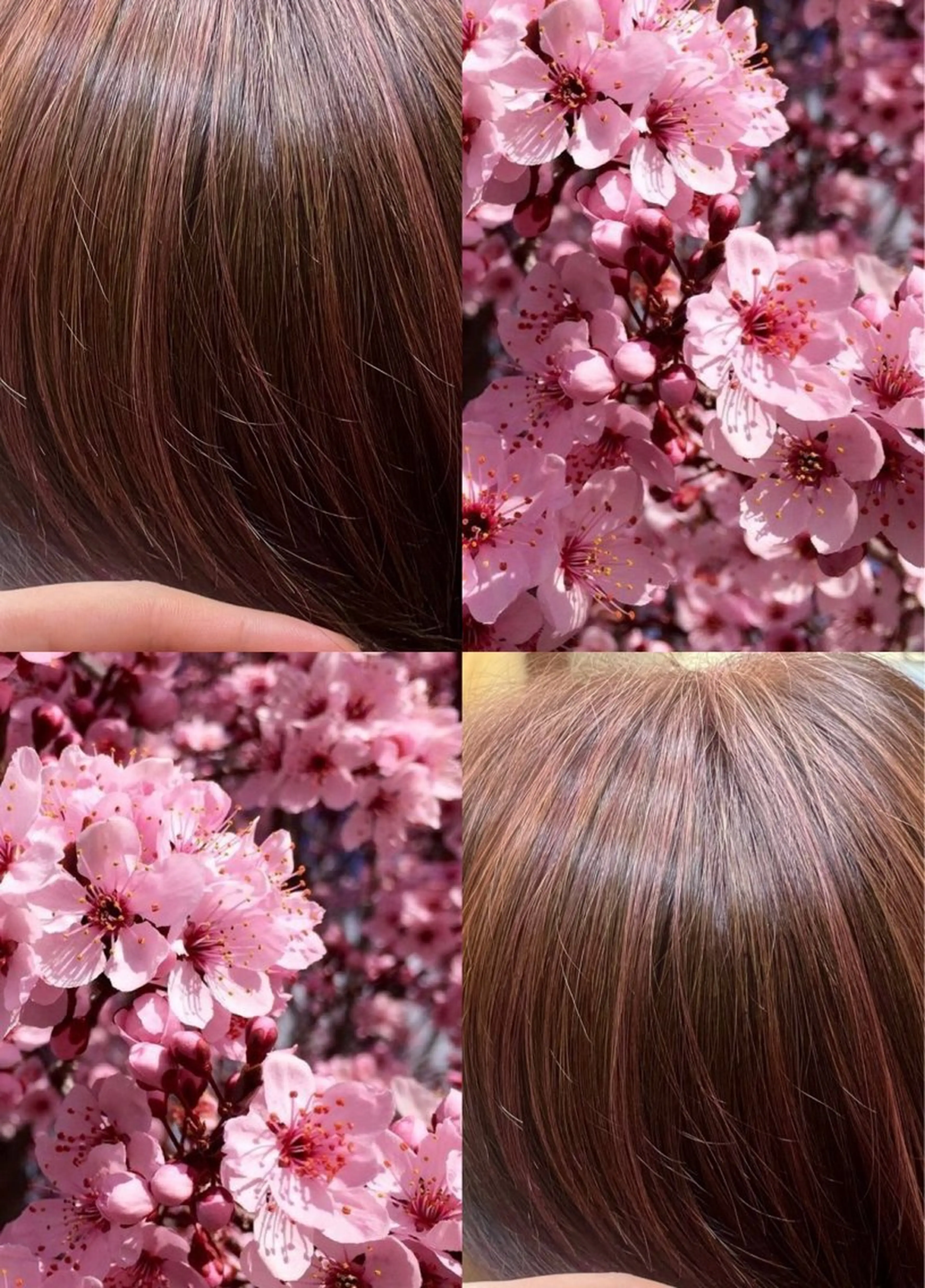 カラー アリヤマ メイカのヘアスタイル