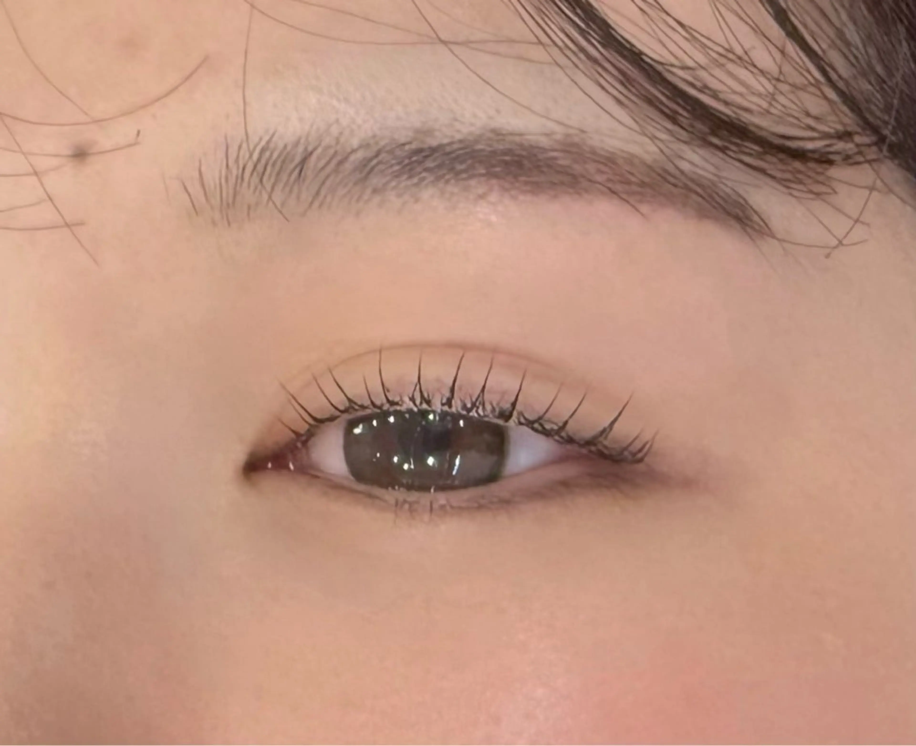 マツエク・マツパ Lカール vim Lash MASAKIの眉毛・アイブロウイメージ