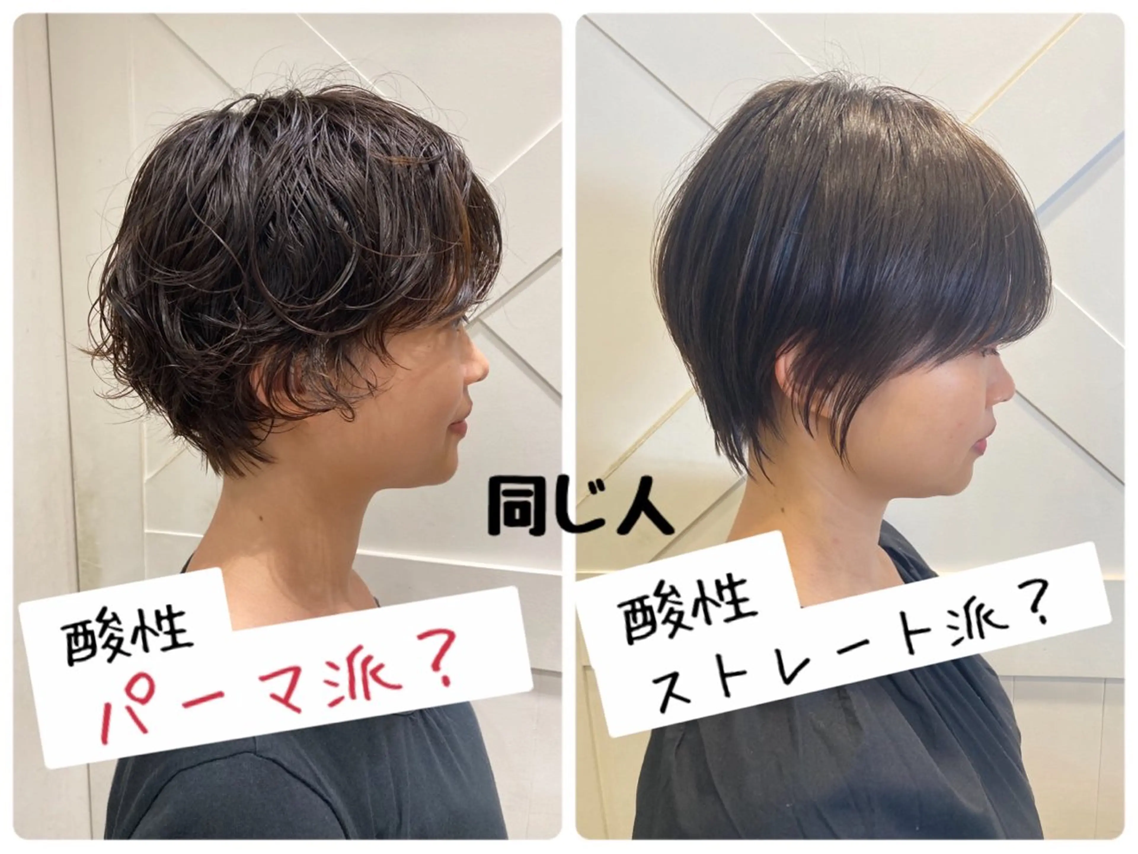 ショート あやかショート 白髪ぼかしのヘアスタイル