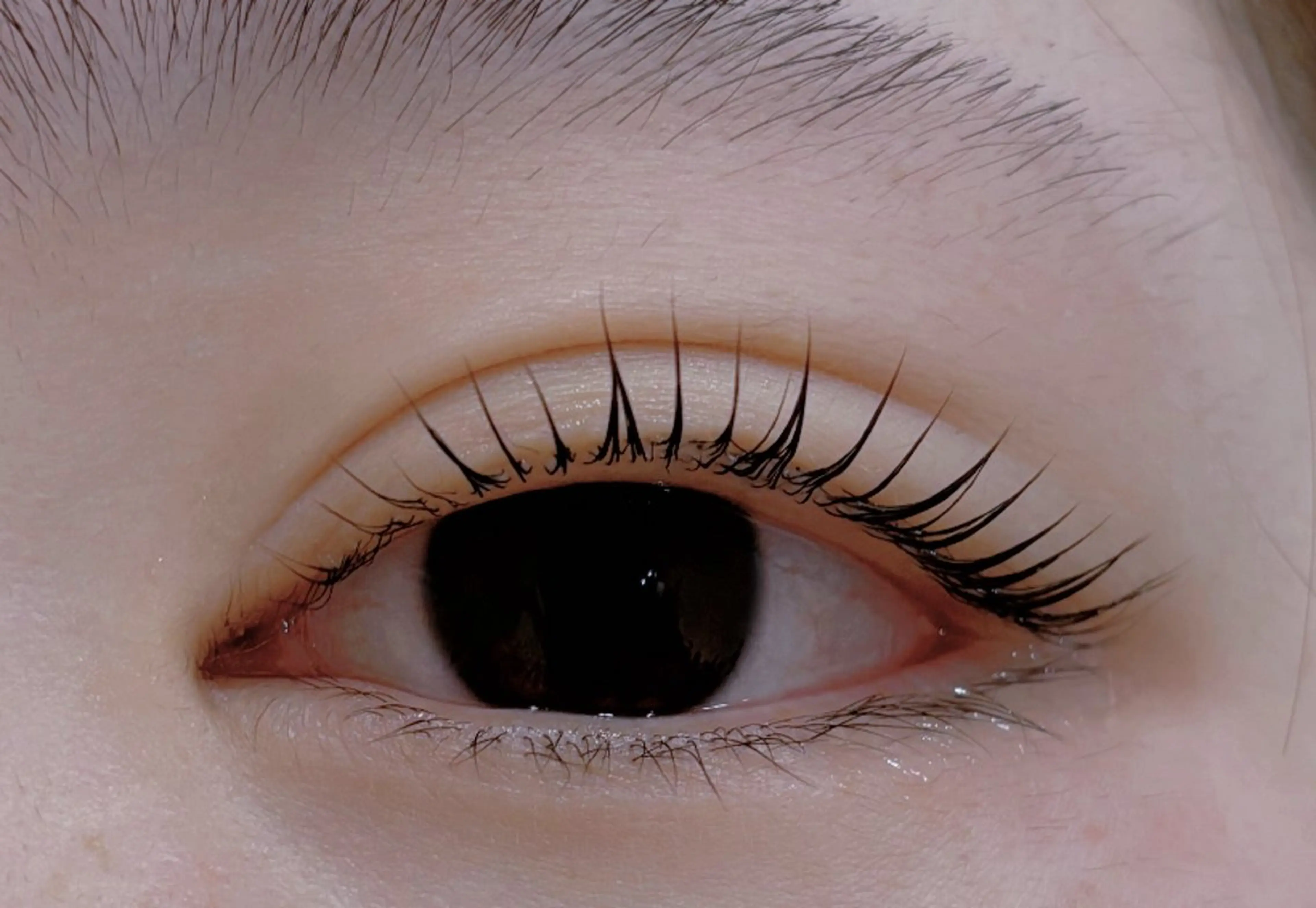 マツエク・マツパ EMA BEAUTY マツエクサロン池袋店のマツエク・マツパデザイン