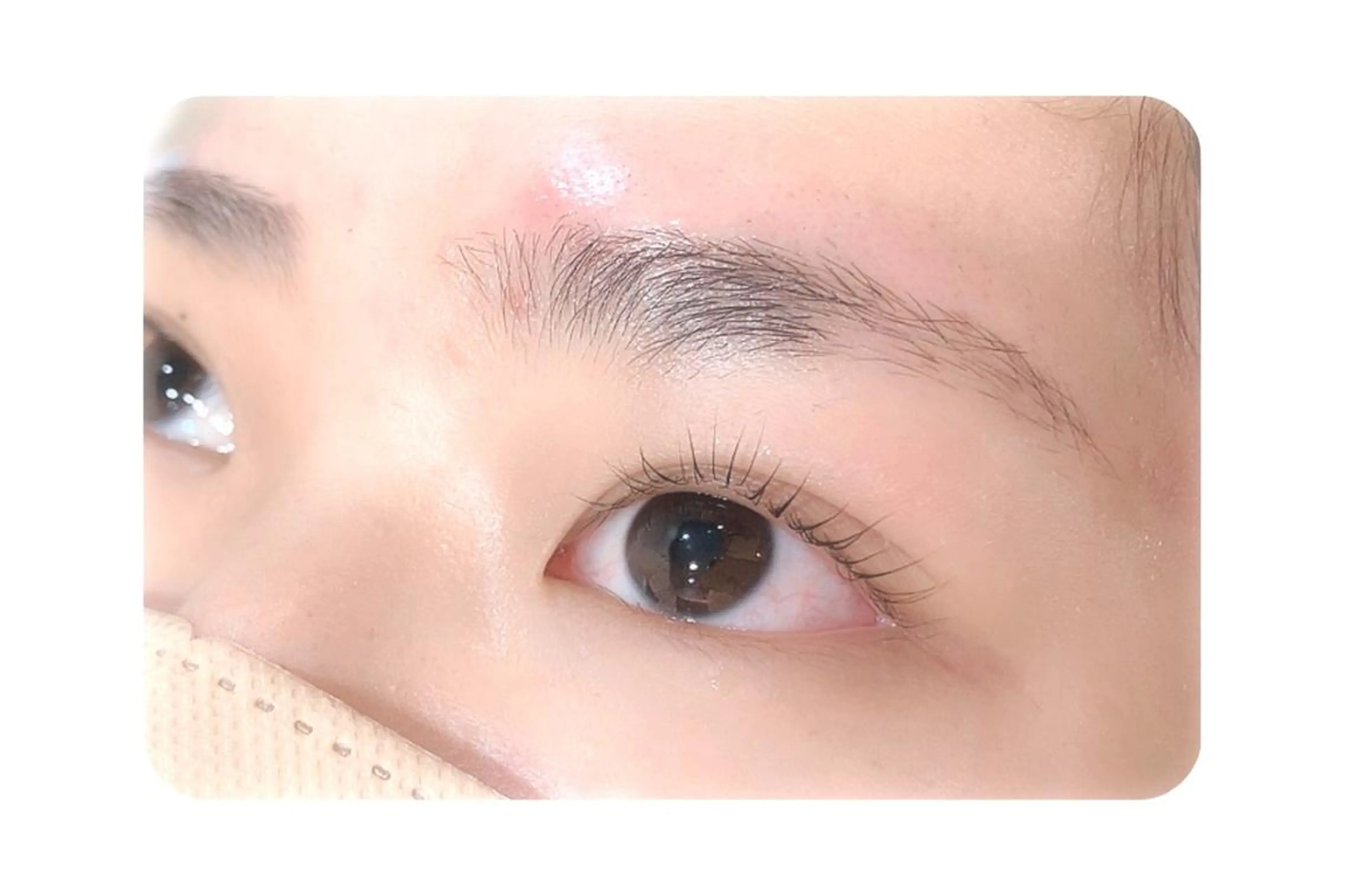 マツエク・マツパ Gluttony/ ｸﾞﾗﾄﾆｰ＊ユキのマツエク・マツパデザイン