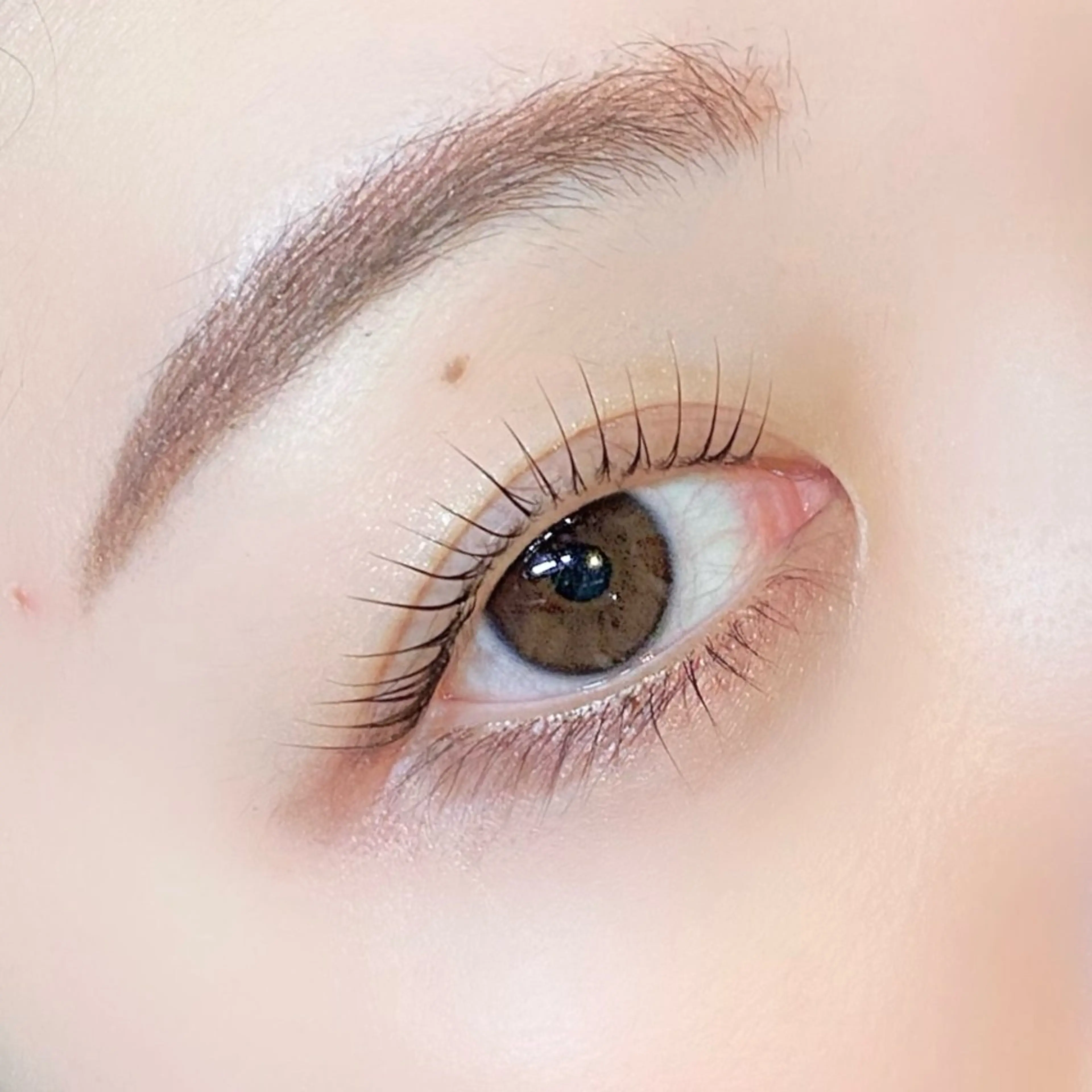 マツエク・マツパ マツパ ɴᴇʀᴏʟɪ ♡ ᴀʏᴀᴋᴀの眉毛・アイブロウイメージ