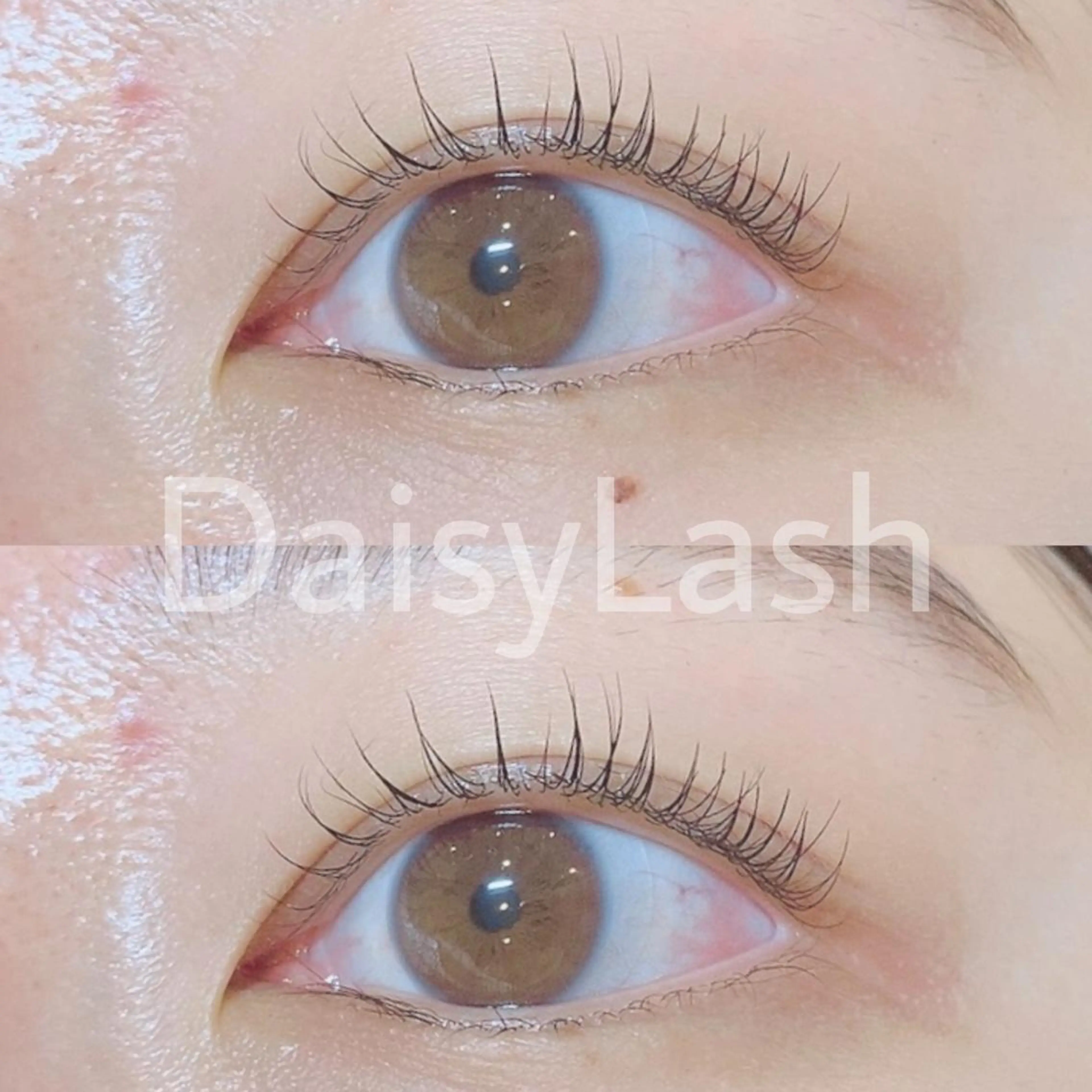 マツエク・マツパ DaisyLash 京橋店のマツエク・マツパデザイン
