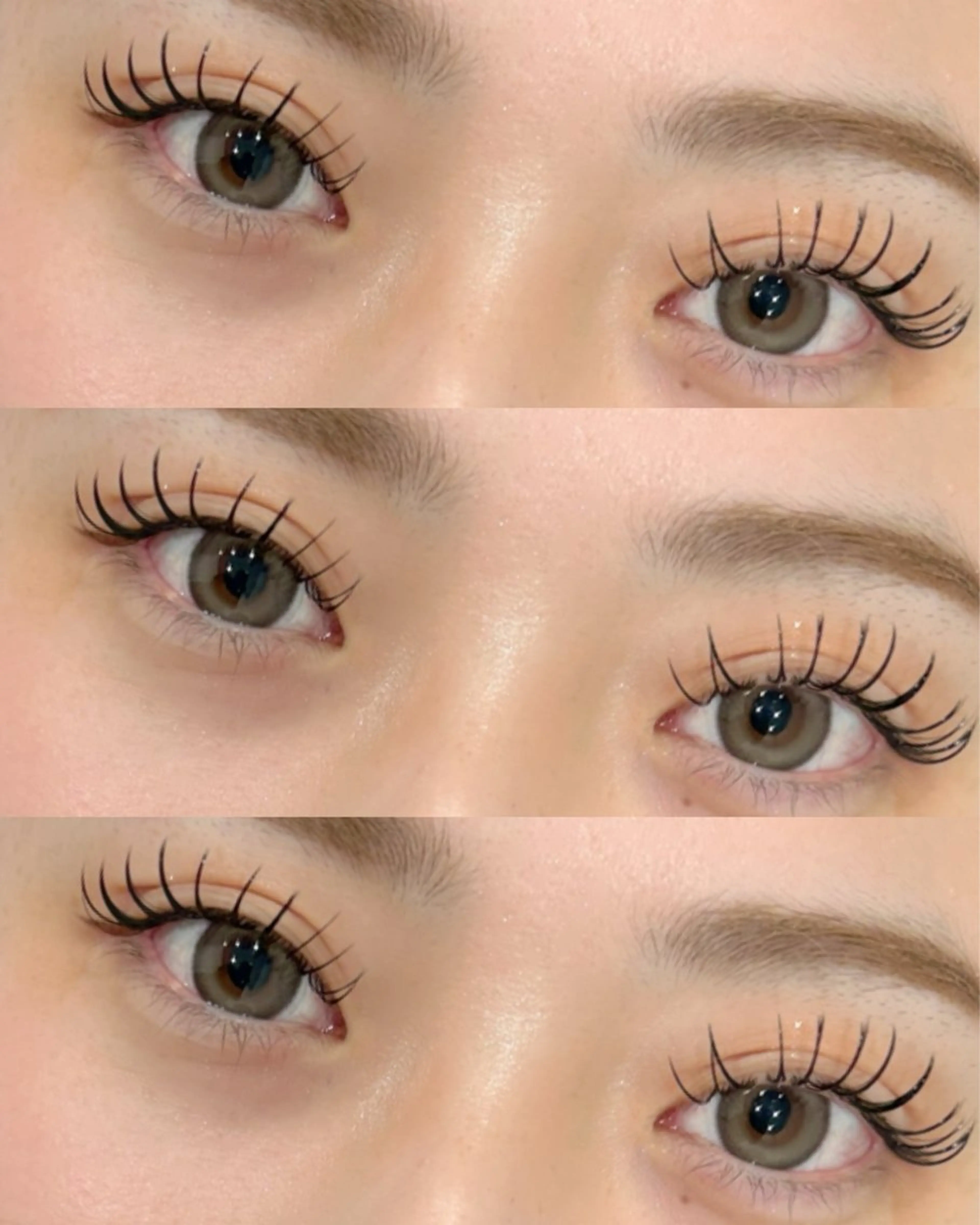 《新規》🎀フラットラッシュ🎀100本まで(オフ込)の写真