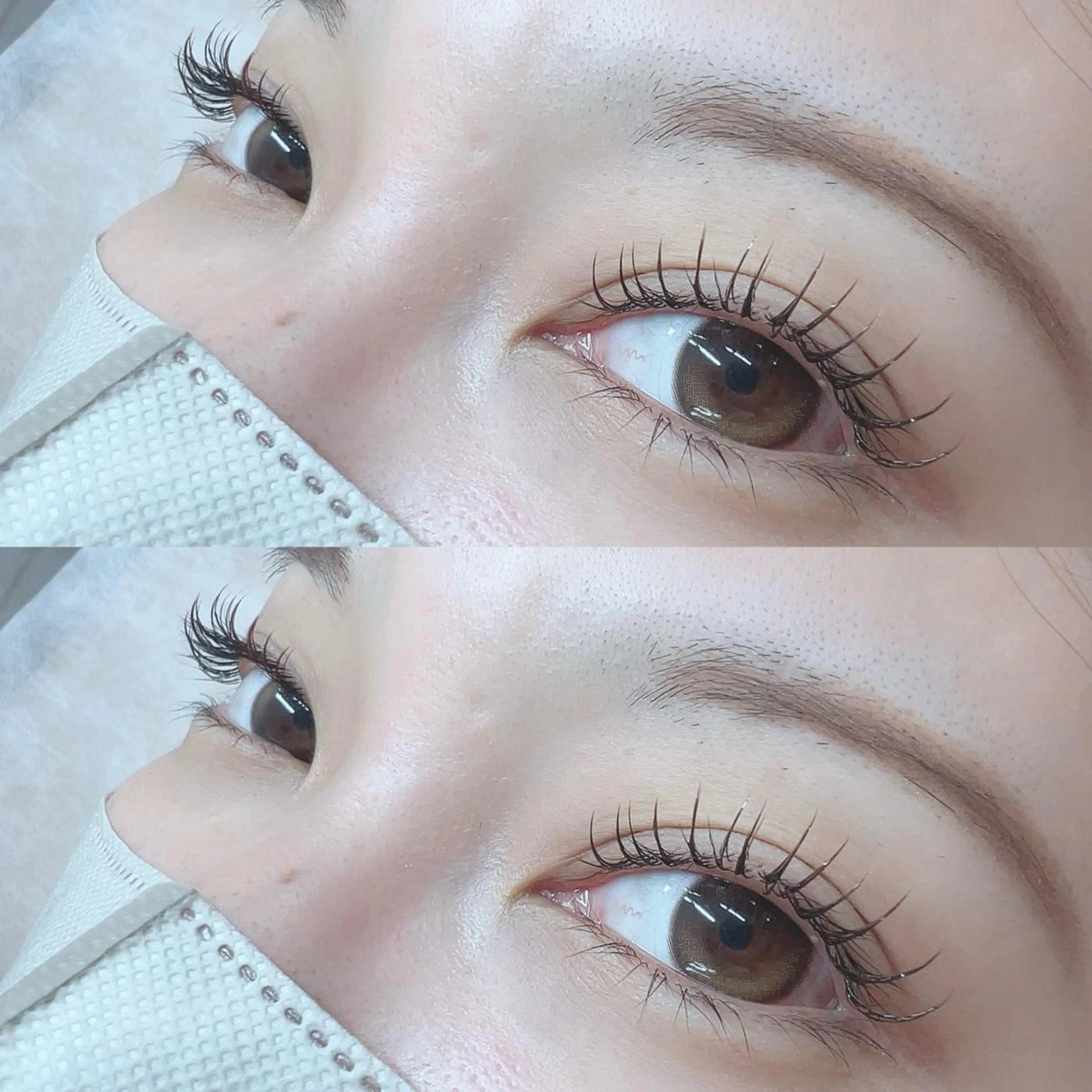 オフ込　フラットマットラッシュブラウン120本の写真