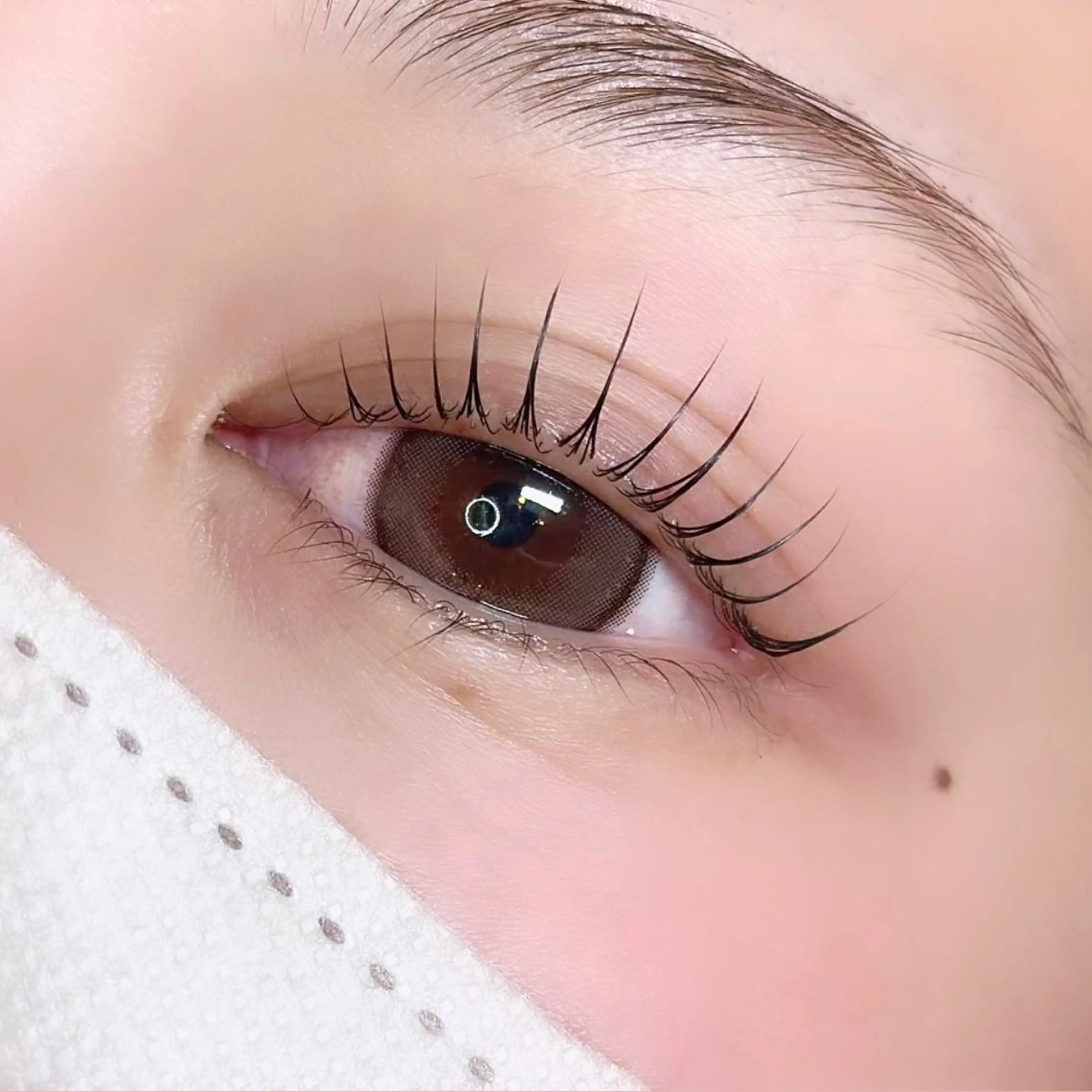 マツエク・マツパ 束感まつ毛 韓国風マツエク Lカール パリジェンヌラッシュリフト ella eyelashのマツエク・マツパデザイン