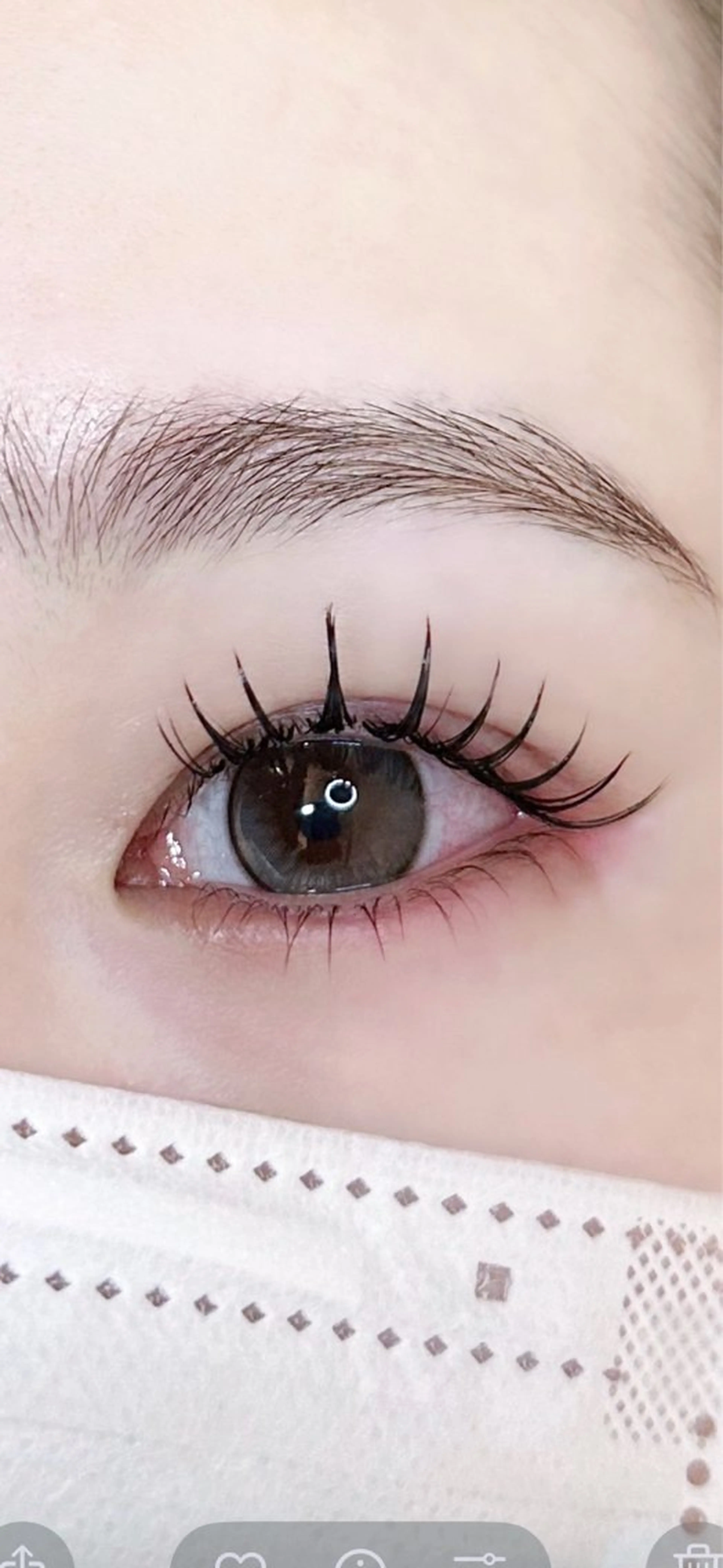 新規様✨持ち最強✨☘️ダブルフラット80束(160本)ブラウン変更+500 100束+1000の写真