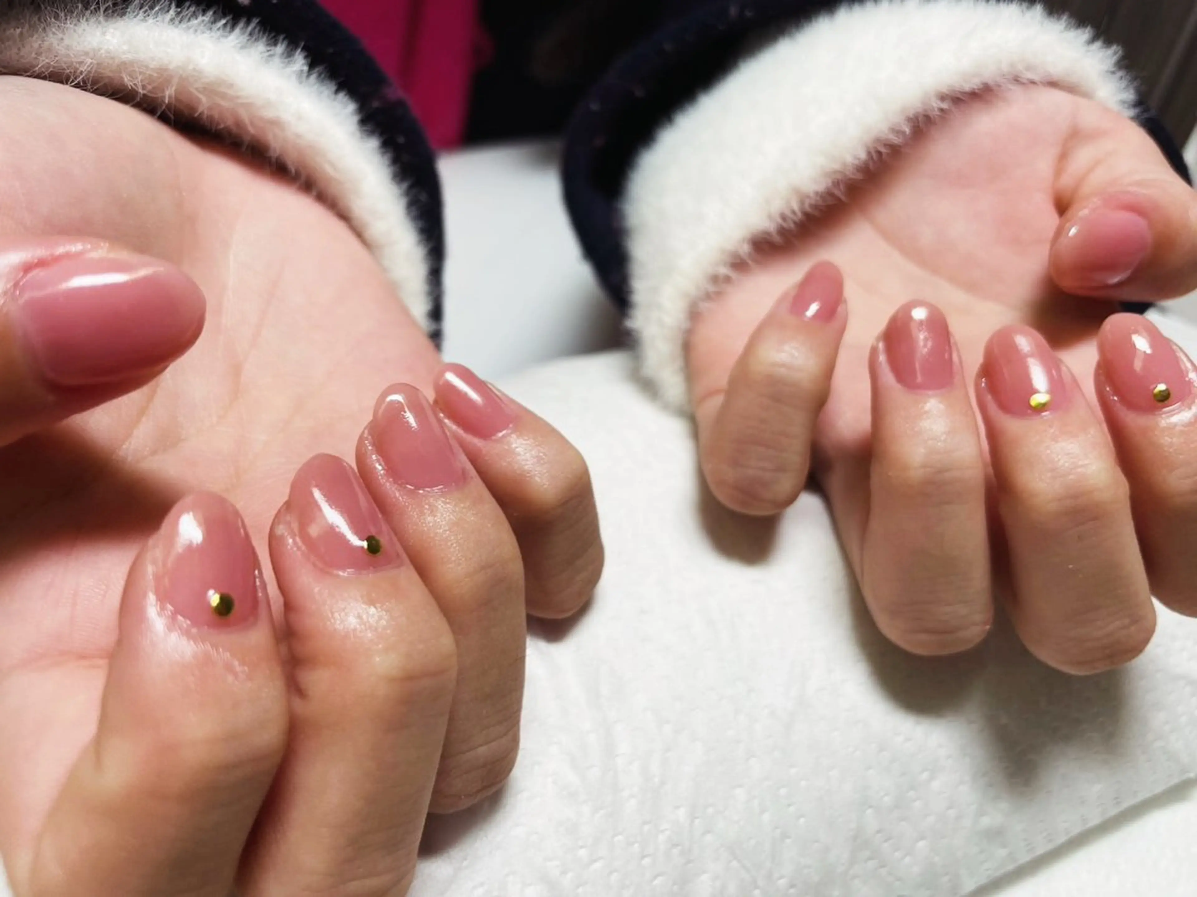 ワンカラーの写真