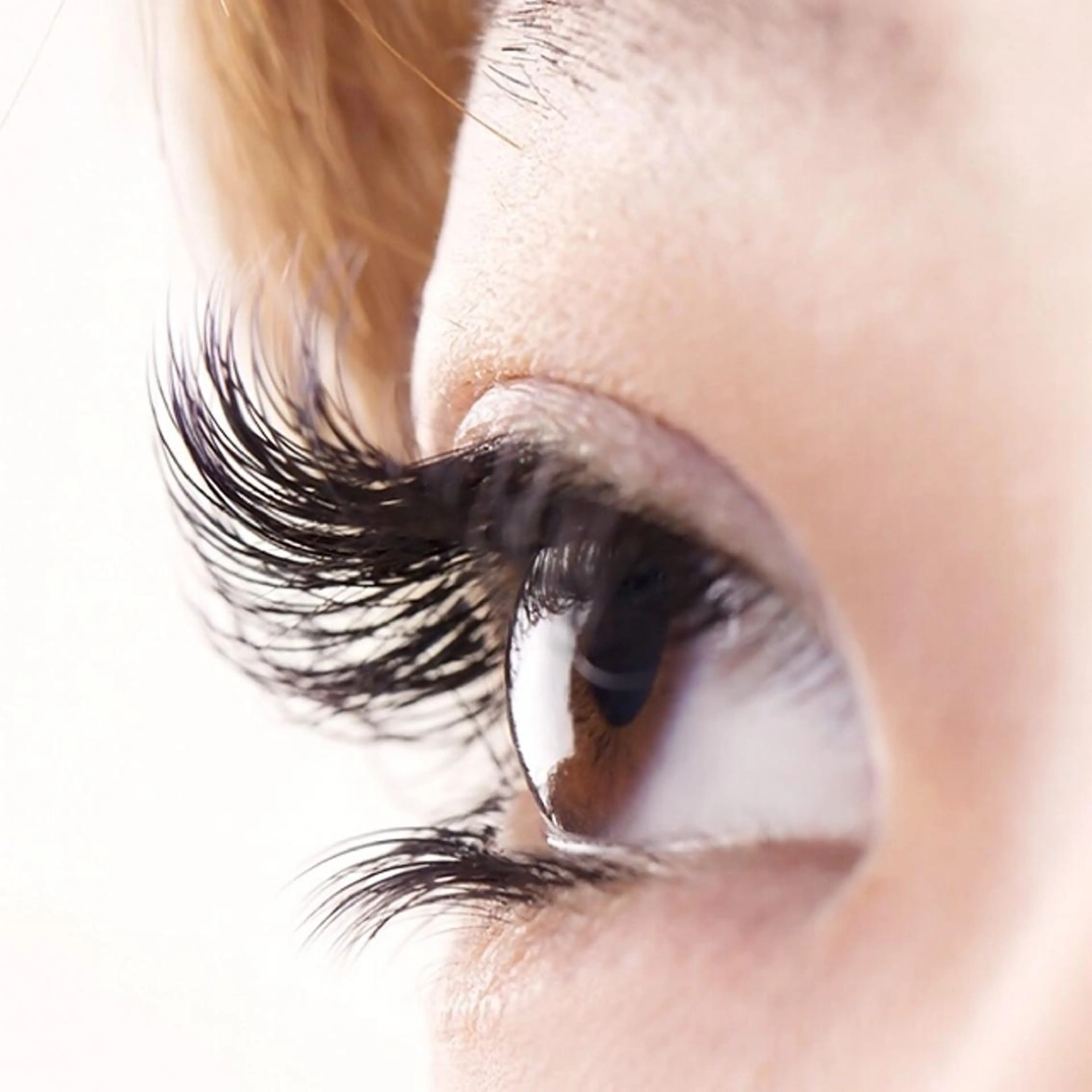 マツエク・マツパ Orange  Camelのマツエク・マツパデザイン