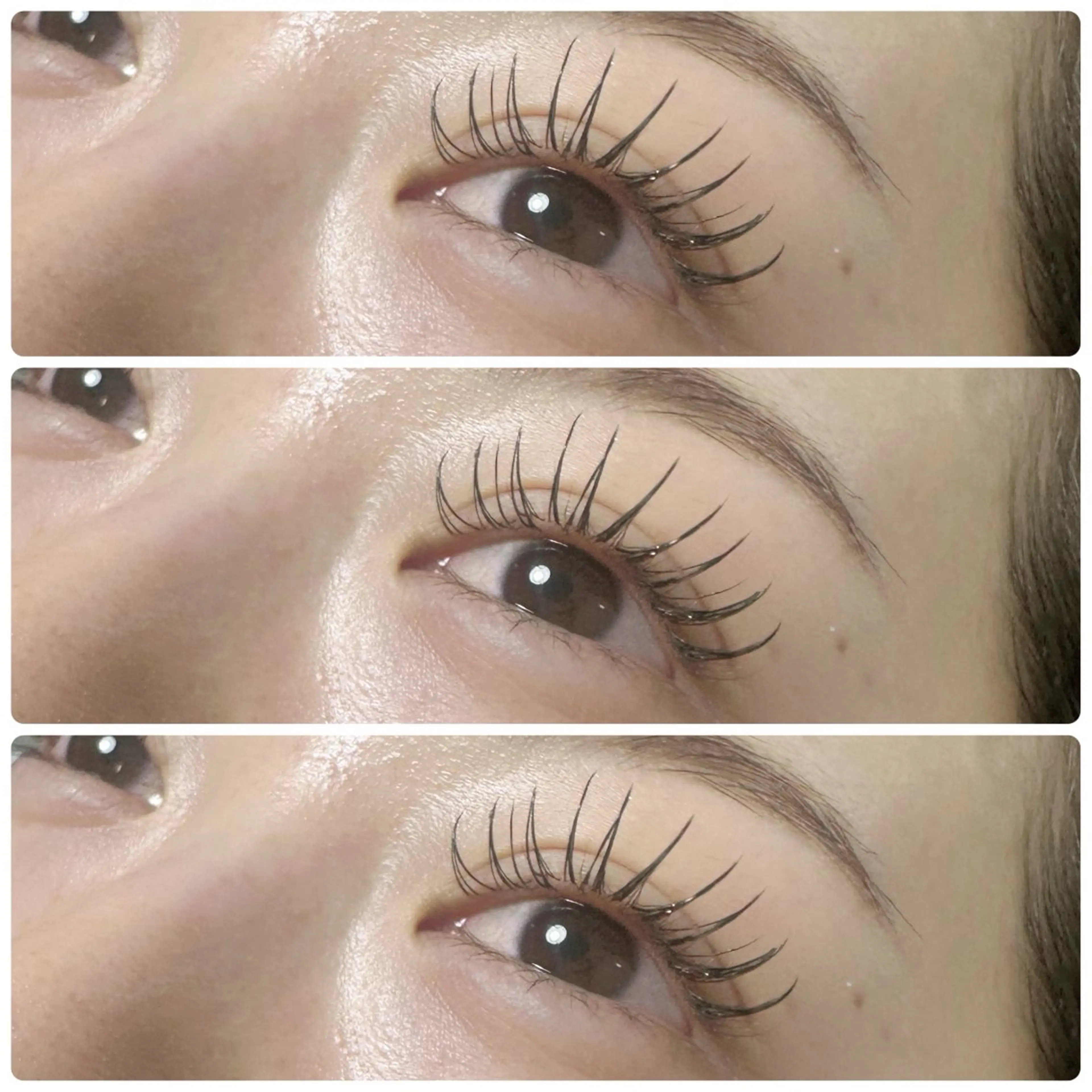 マツエク・マツパ plume eyelashのマツエク・マツパデザイン