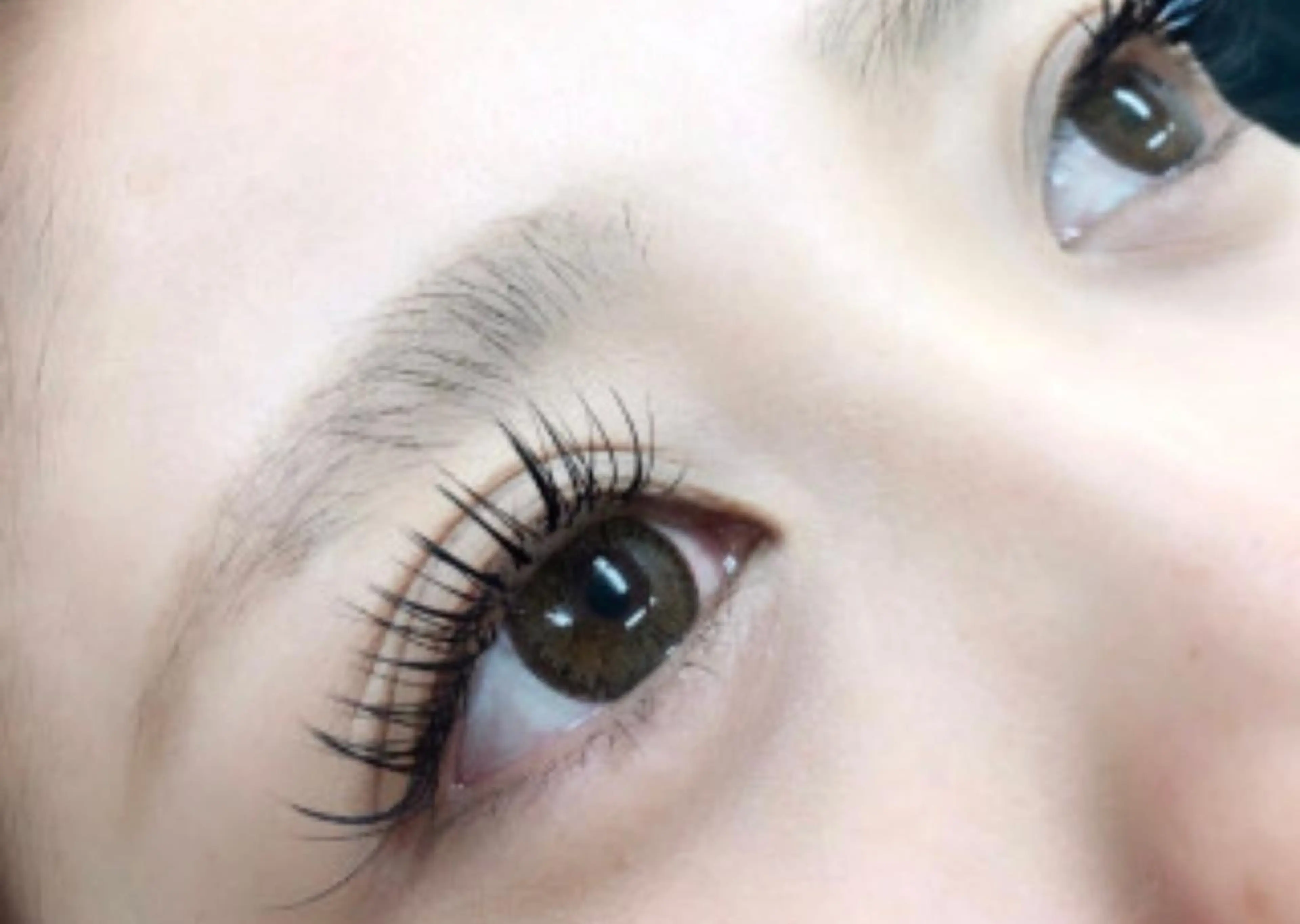 LEDフラットマットラッシュ180本✴︎他店オフ込み‼︎アイシャンプー・美容液込みの写真