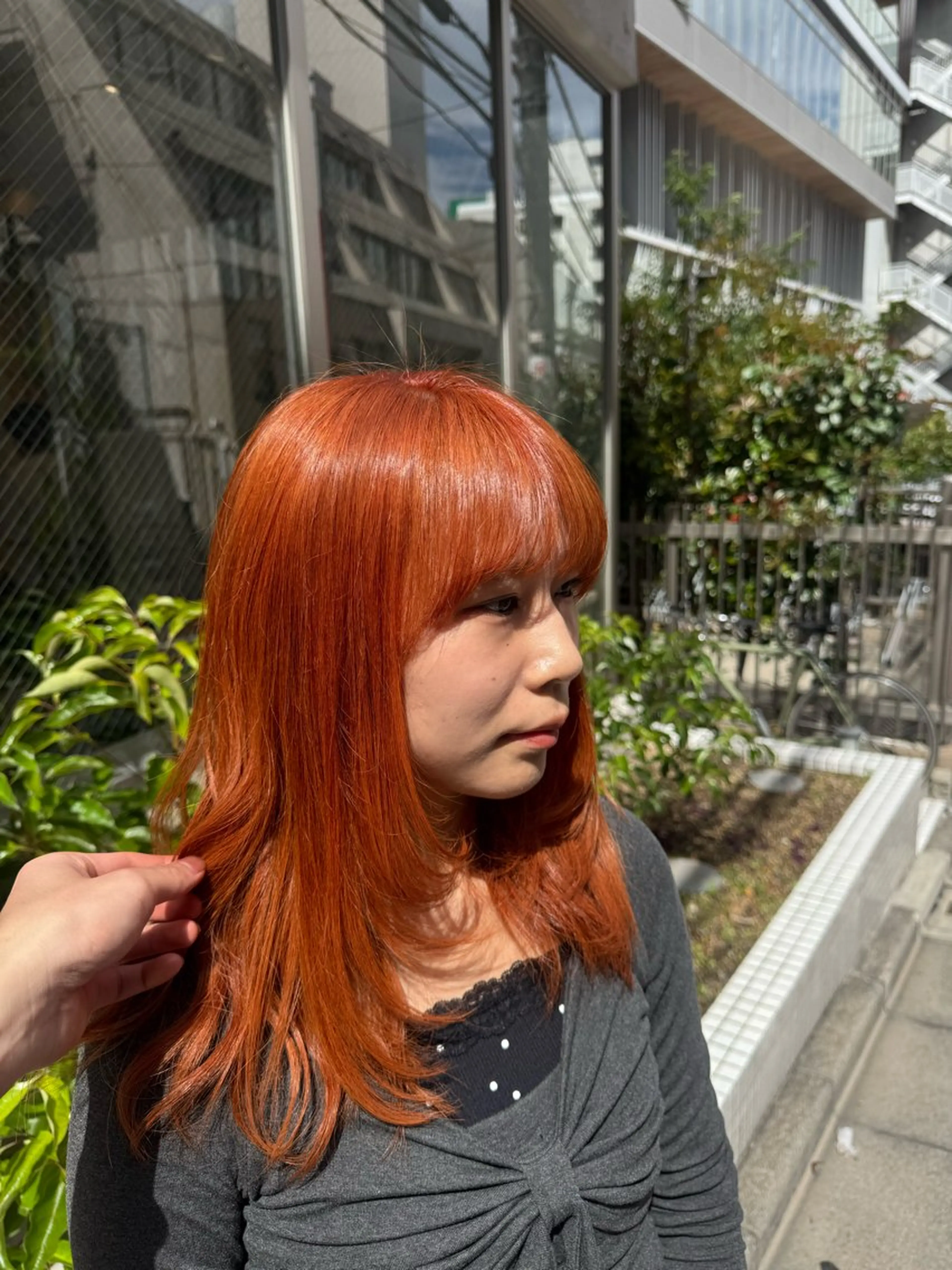 セミロング カラー 🎨ハイトーン/ウル フ/ローライト/大夢のヘアスタイル