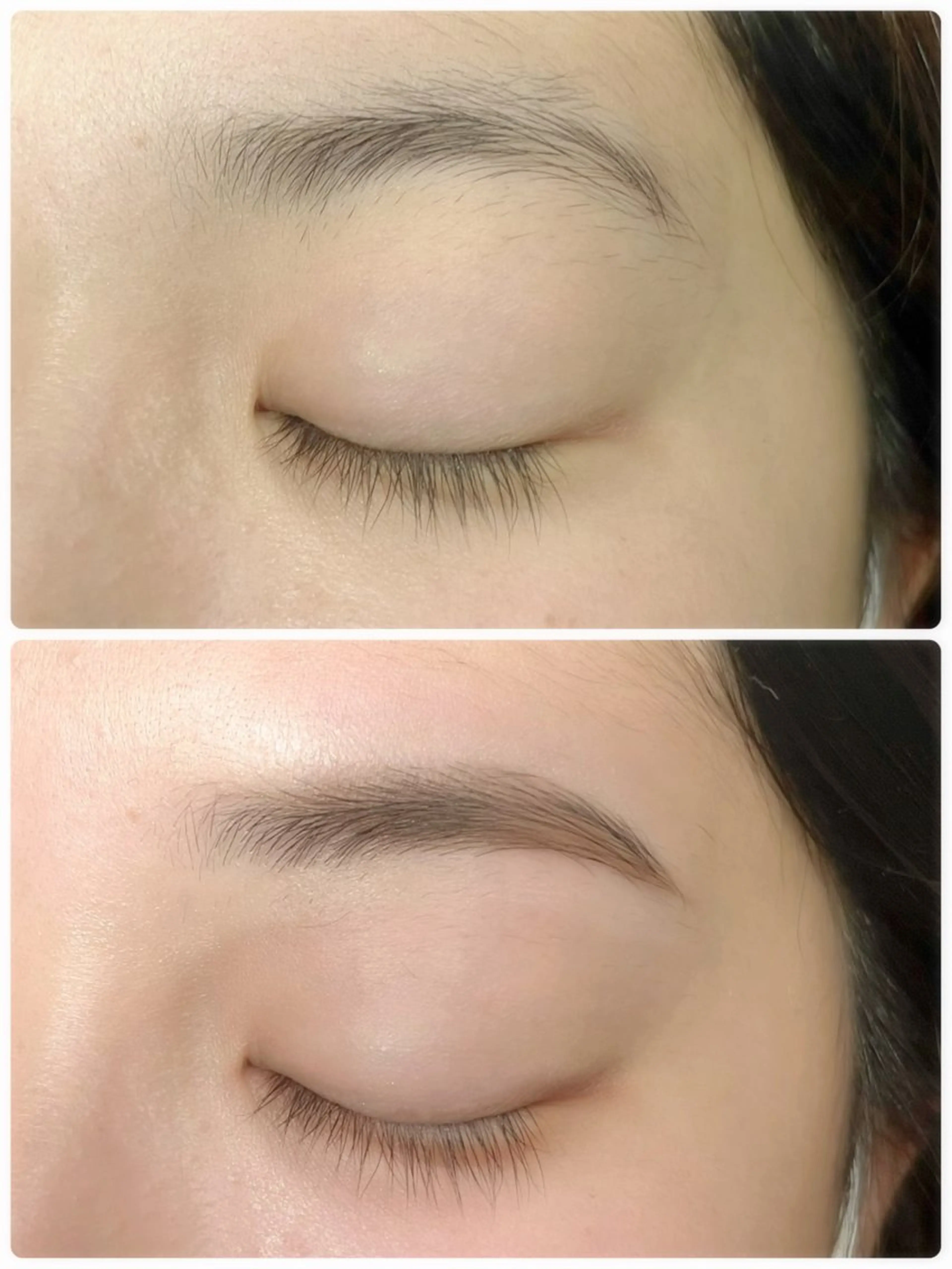 【HBL】ハリウッドアイブロウ＆ワックス脱毛🐱✨️の写真